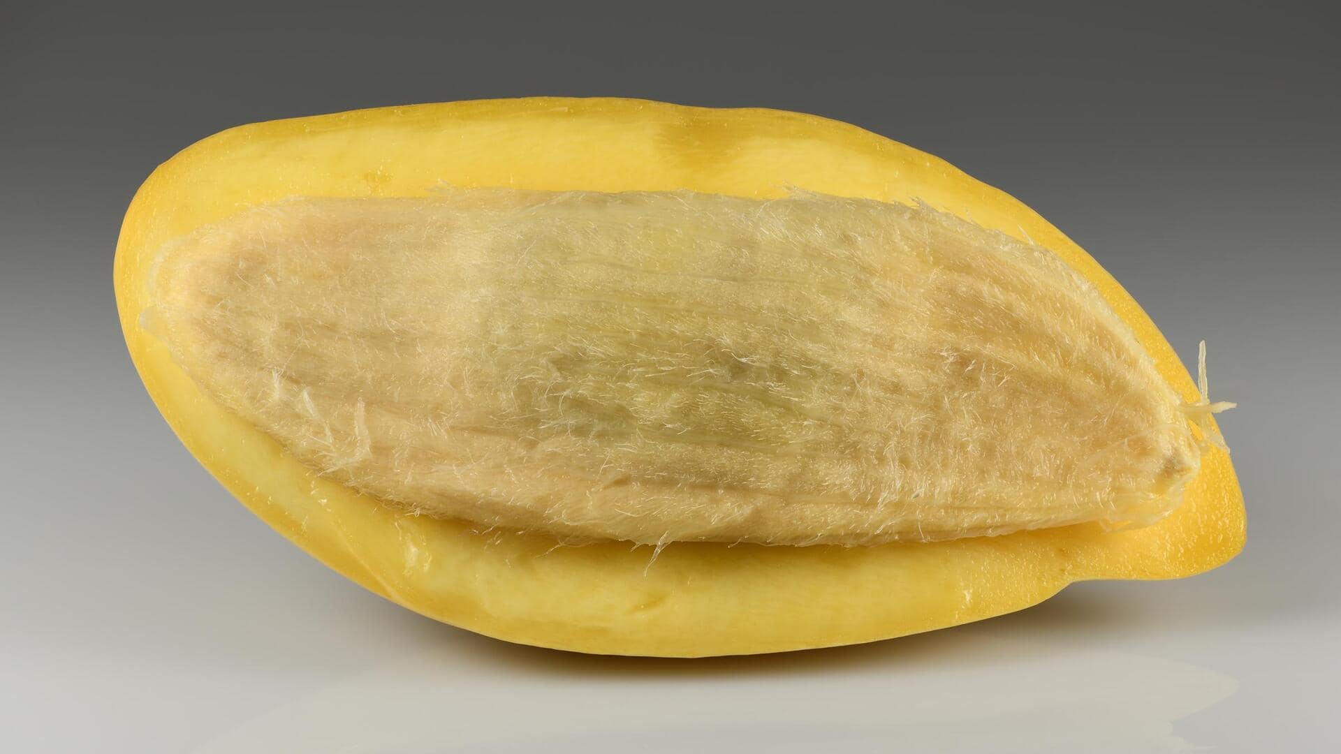 Potensi Tersembunyi dari Biji Mangga dalam Resep Kreatif
