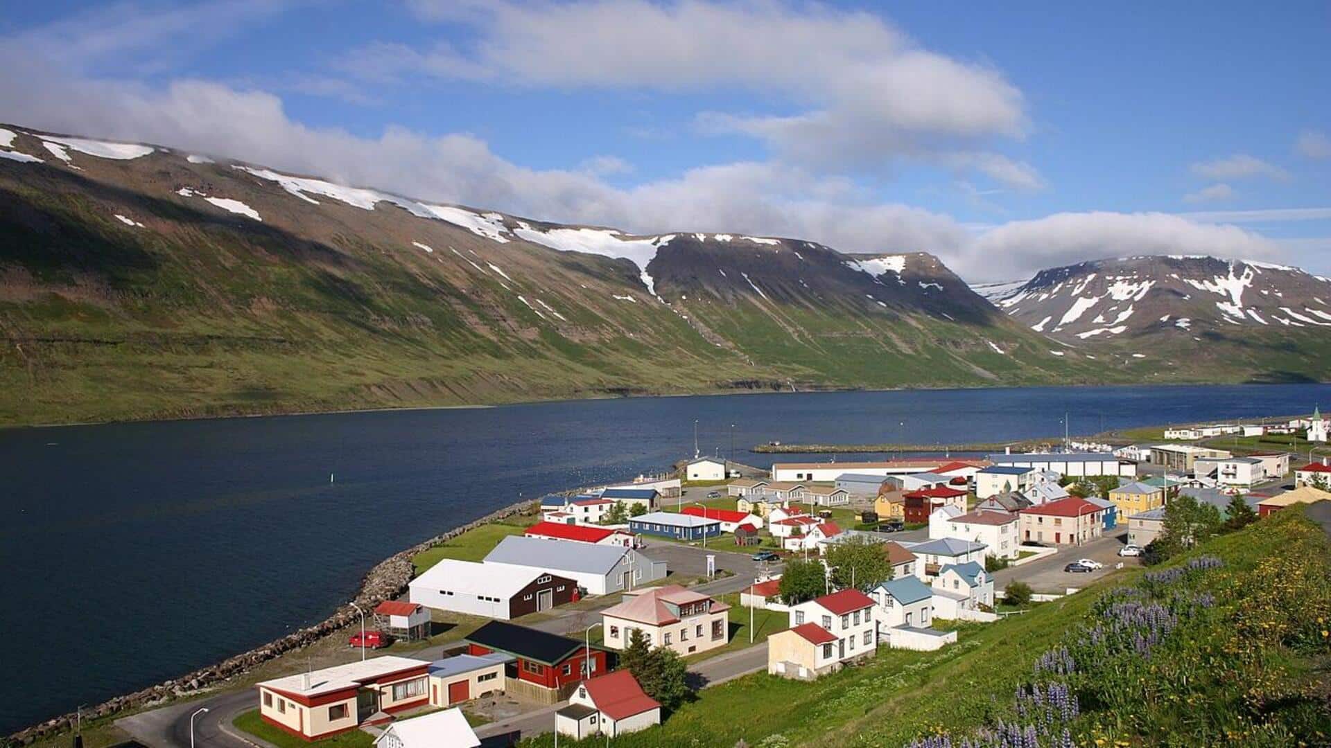 Menikmati Keajaiban Alam Westfjords di Islandia