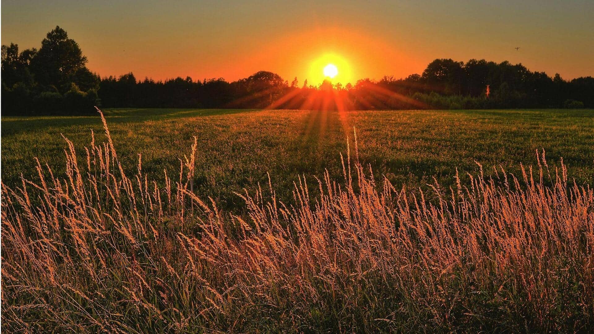 Teknik Pencahayaan untuk Fotografi Golden Hour