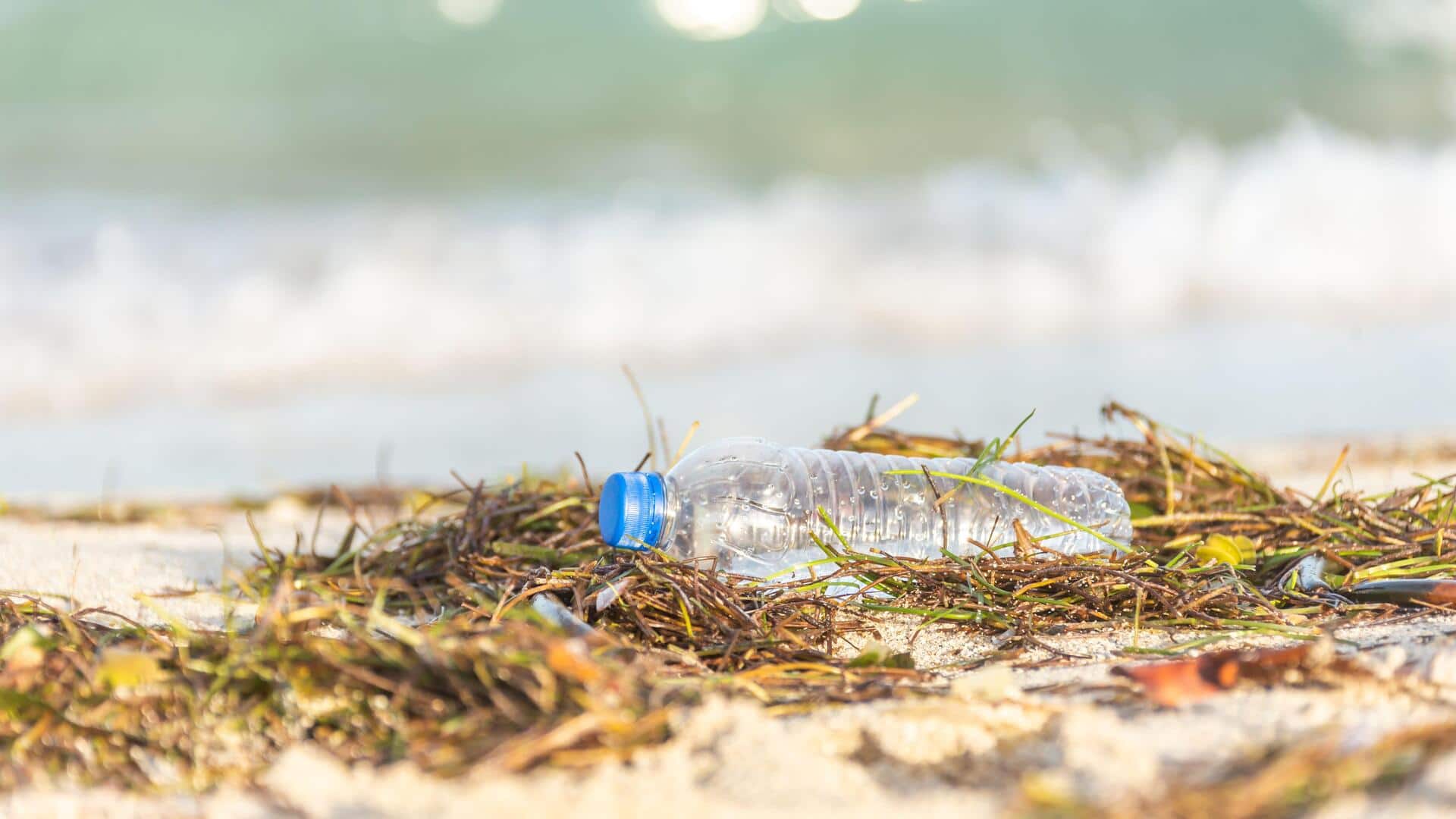 Negara Unik Memimpin Pembersihan Plastik Lautan