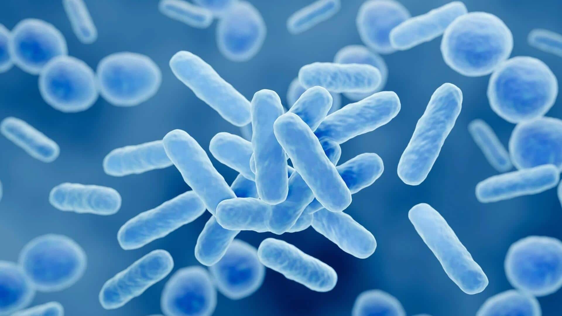 Peran Tak Terduga Bakteri untuk Kesehatan Manusia