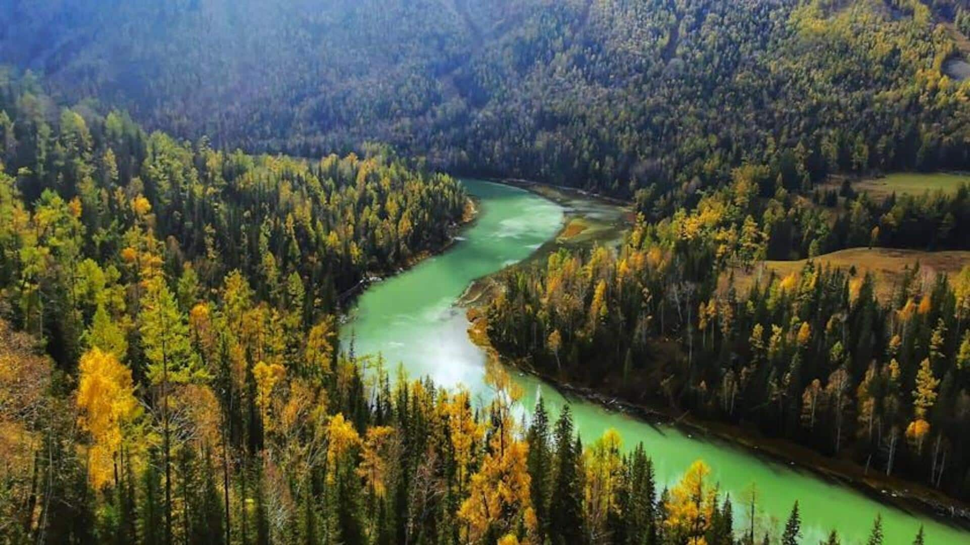 Menjelajahi Padang Rumput dan Bunga Liar Dzungarian Basin, Cina