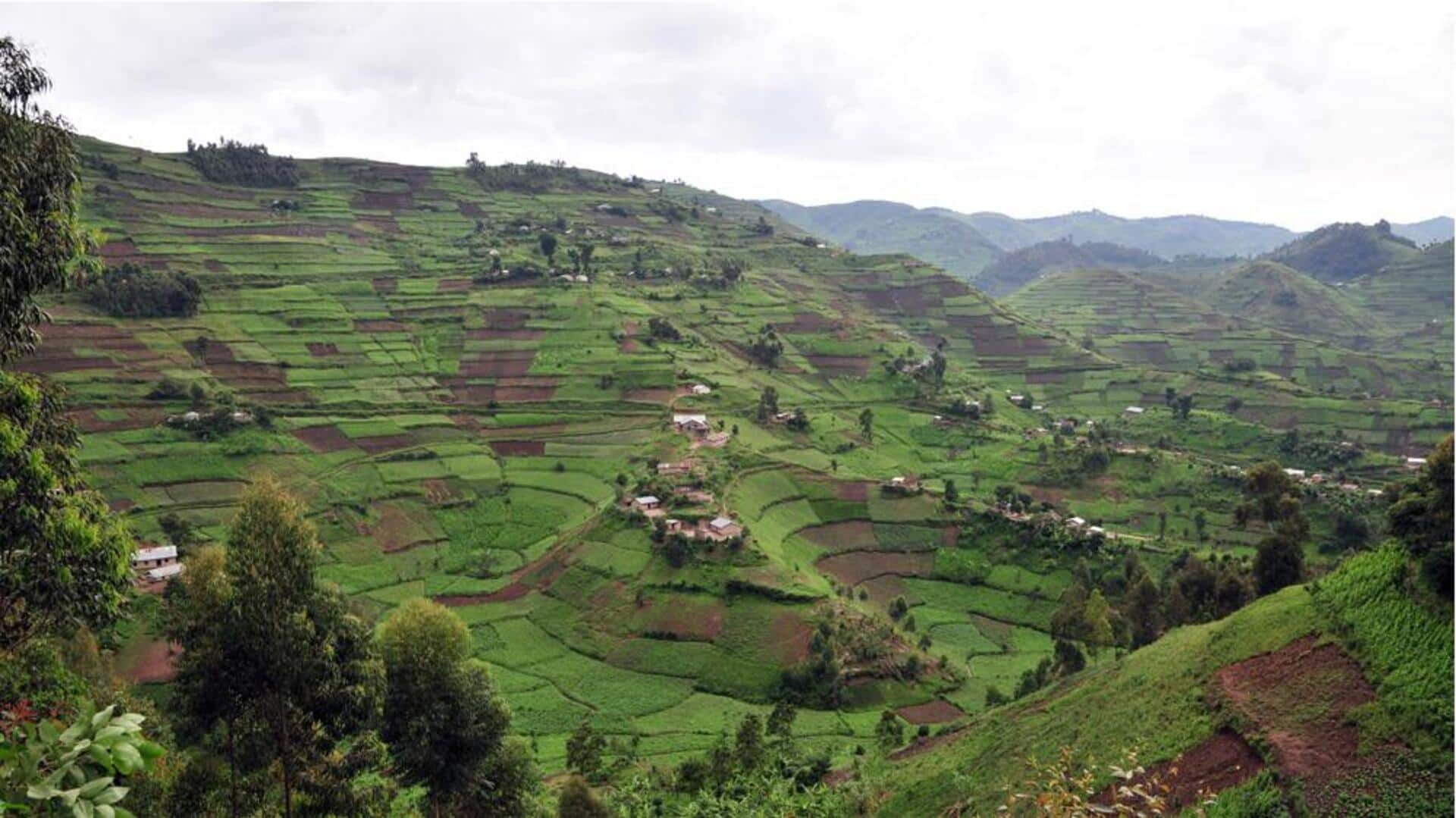 Menikmati Keindahan Tersembunyi di Taman Nasional Gunung Gahinga, Uganda Menikmati Keindahan Tersembunyi di Taman Nasional Gunung Gahinga, Uganda