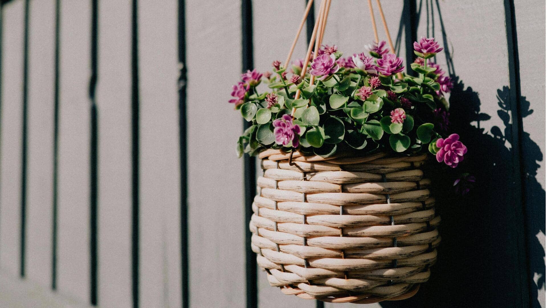 Cara unik menggunakan keranjang gantung untuk dekorasi rumah