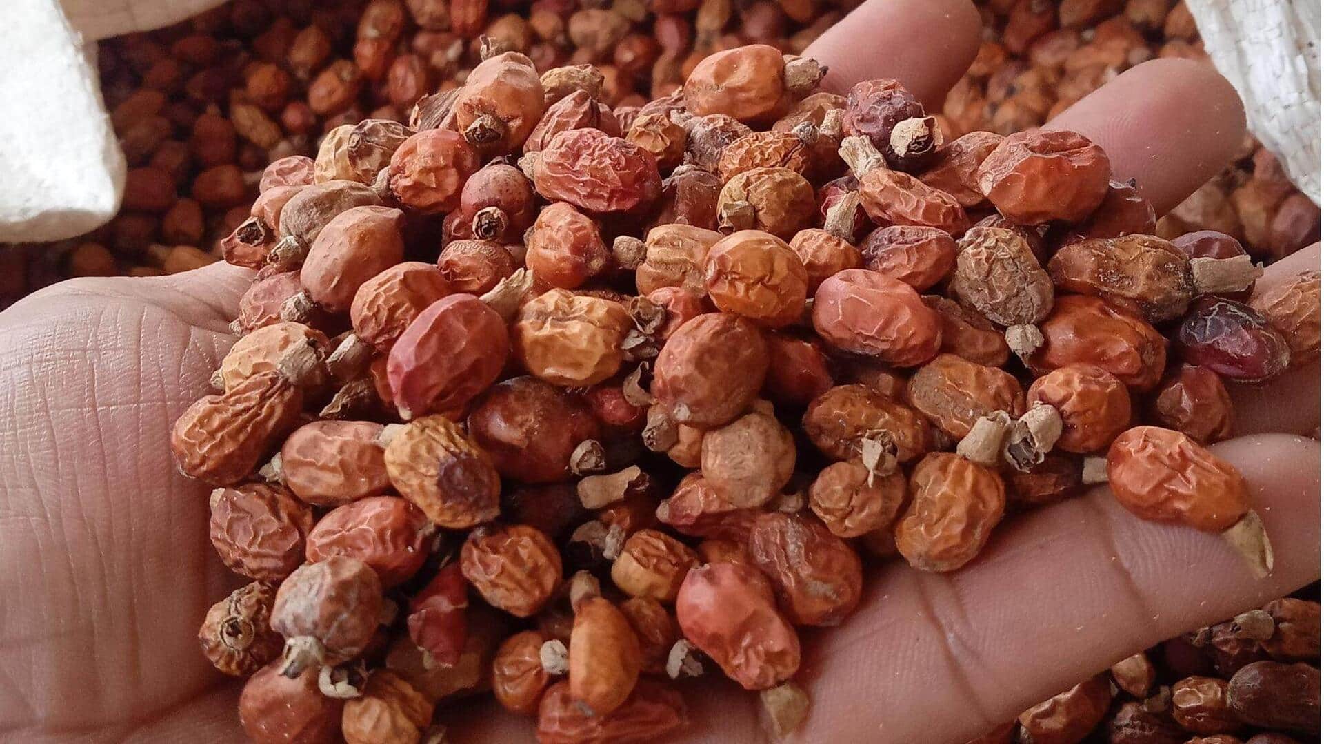 Cara Unik Menggunakan Biji Laos dalam Beragam Resep