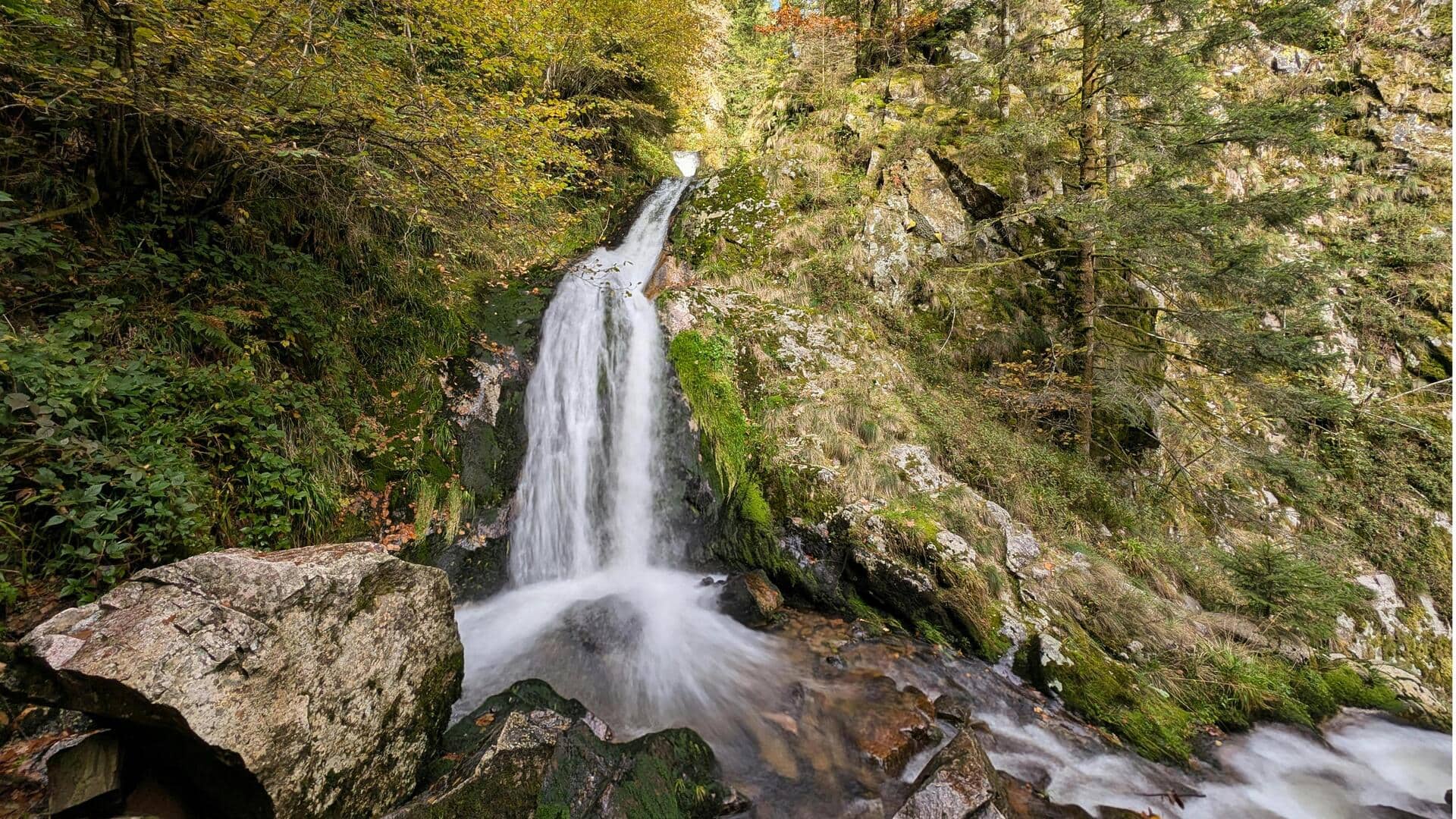 Menemukan Air Terjun di Hutan Hitam Jerman: Pendakian yang Memukau