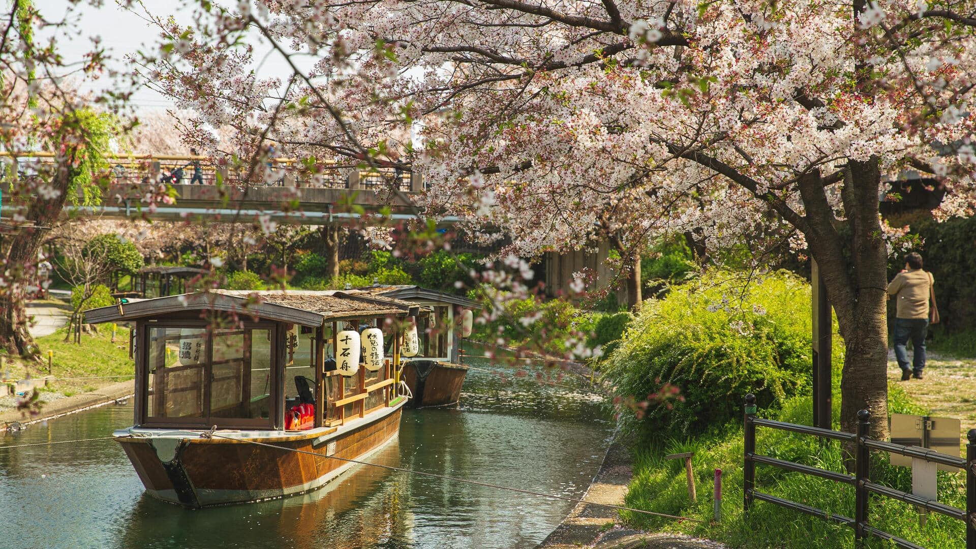 Permata Budaya Unik di Kyoto selain Kuil