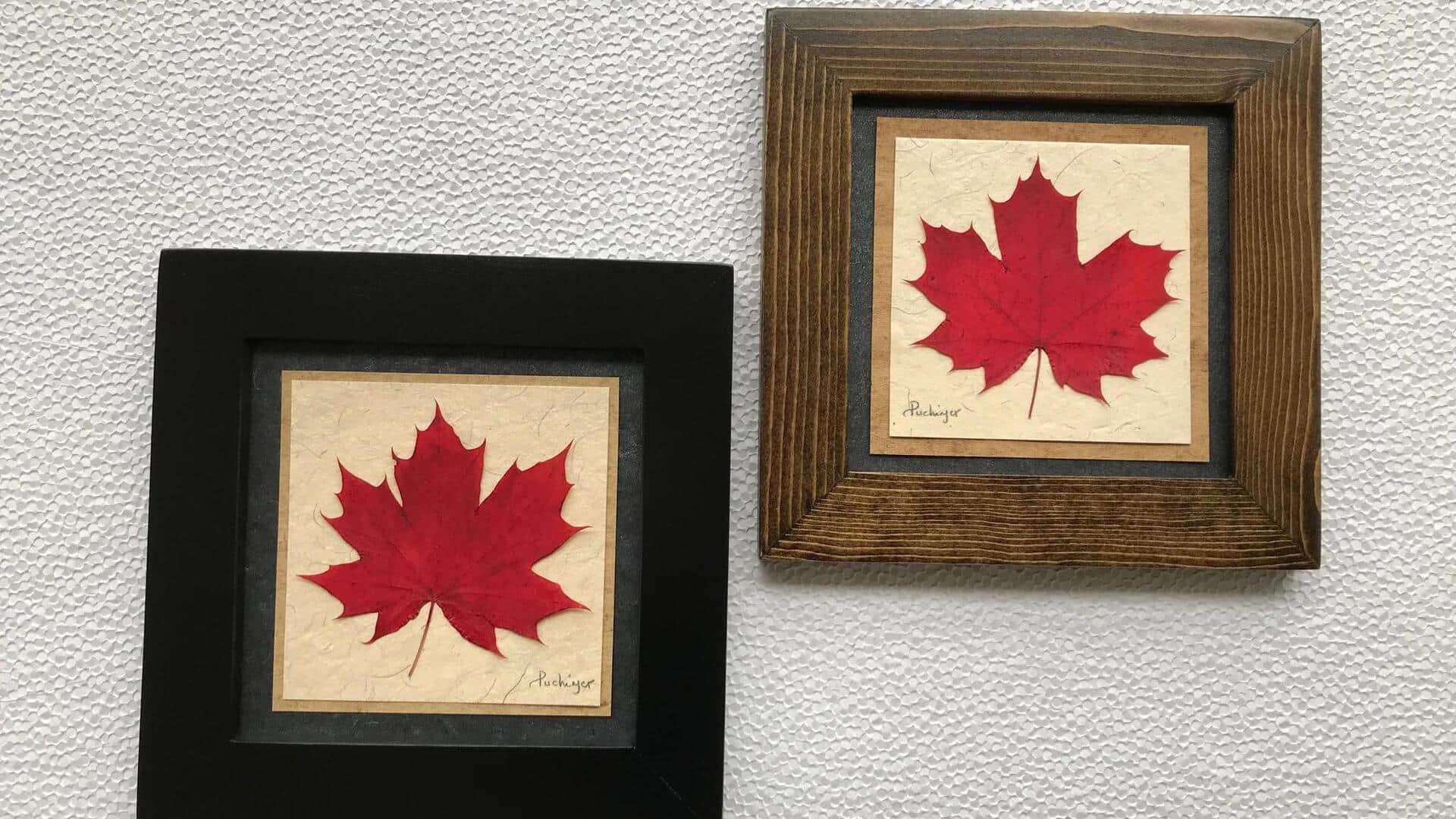 Lima Cara Artistik untuk Memajang Koleksi Daun