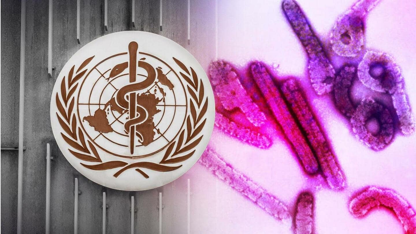 WHO mengonfirmasi wabah penyakit Marburg di Guinea Khatulistiwa: Berikut detailnya