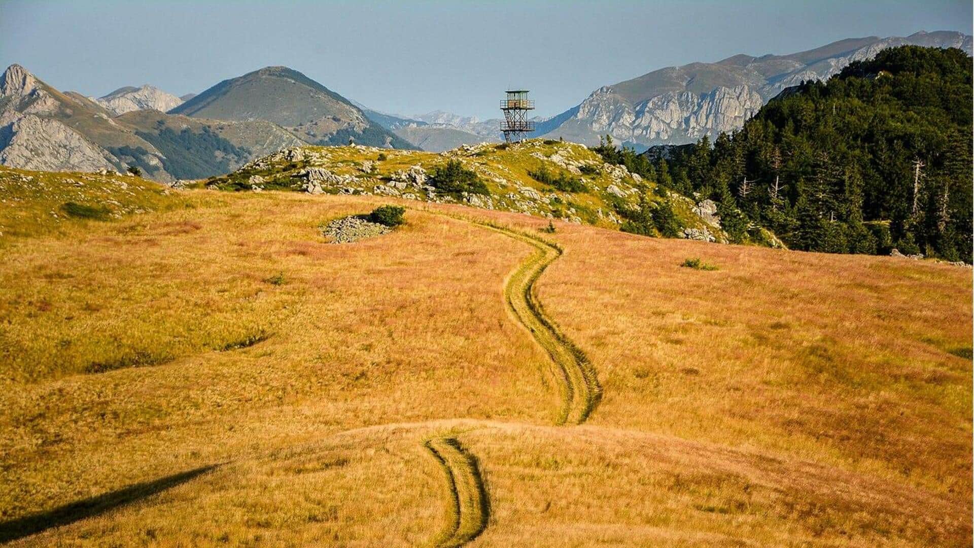 Pegunungan Montenegro: Surga Hiking Tersembunyi di Eropa