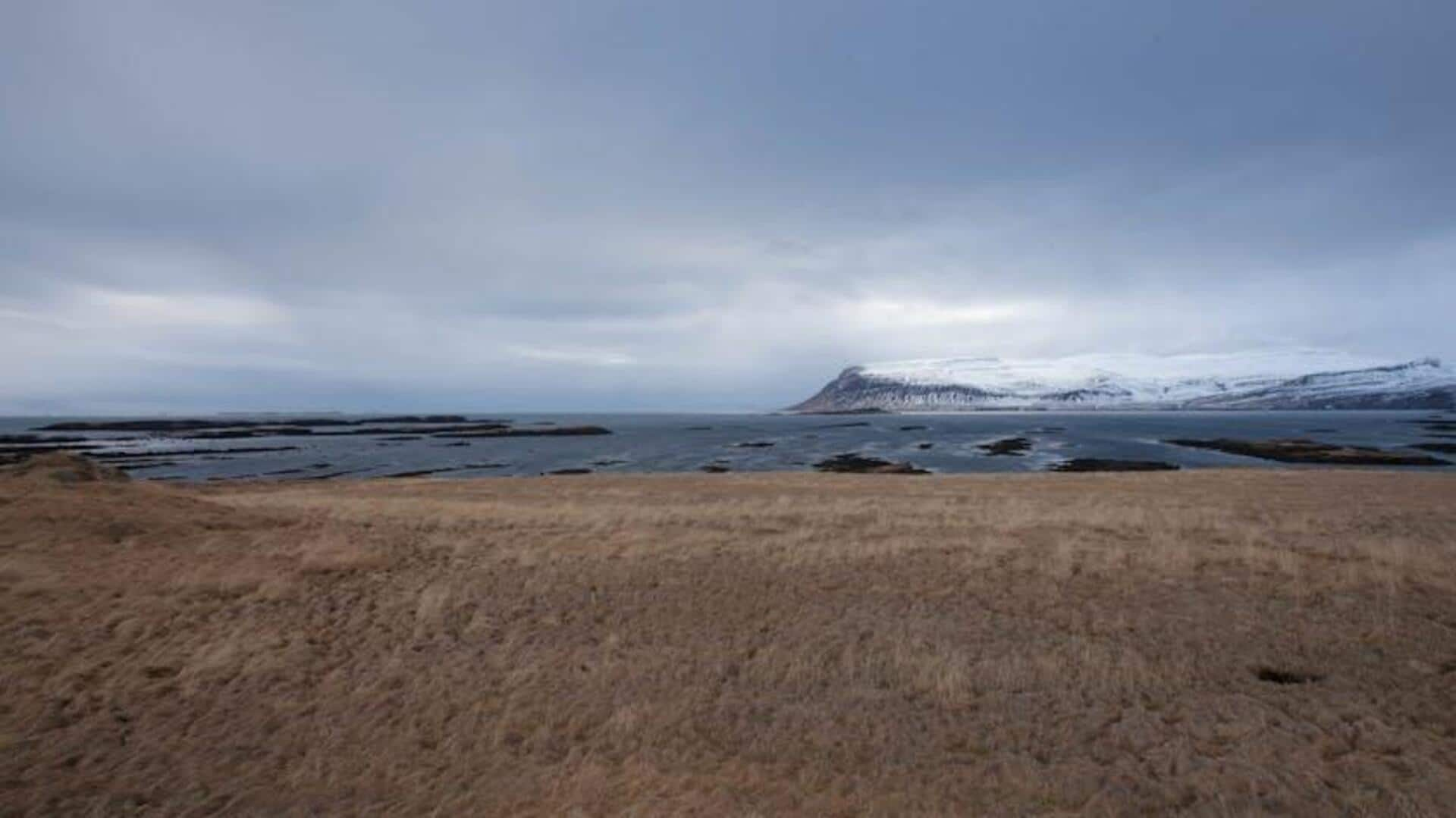 Menjelajahi Keindahan Fjord Patreksfjordur, Islandia