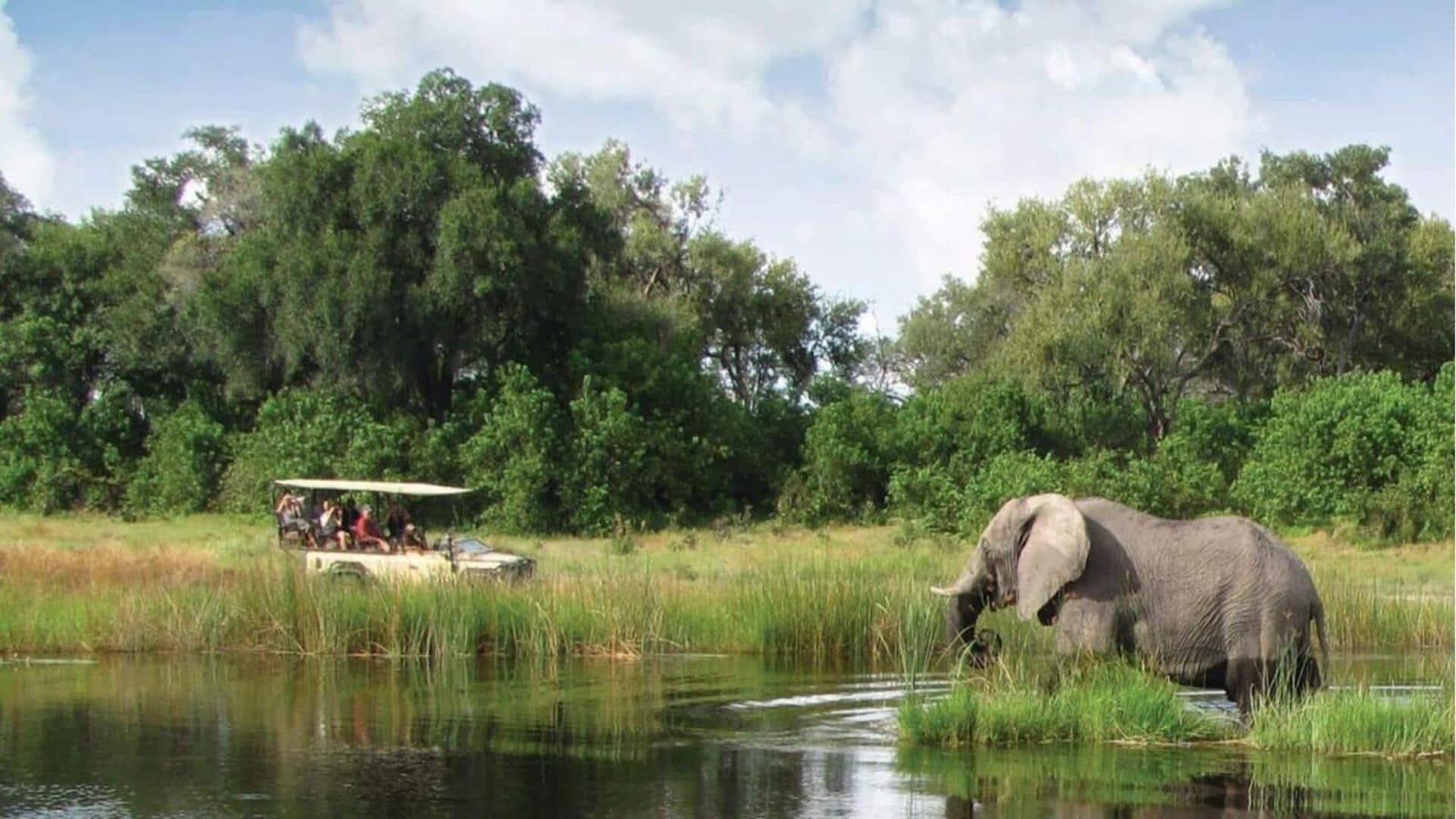 Botswana sangat cocok untuk petualangan safari liar 