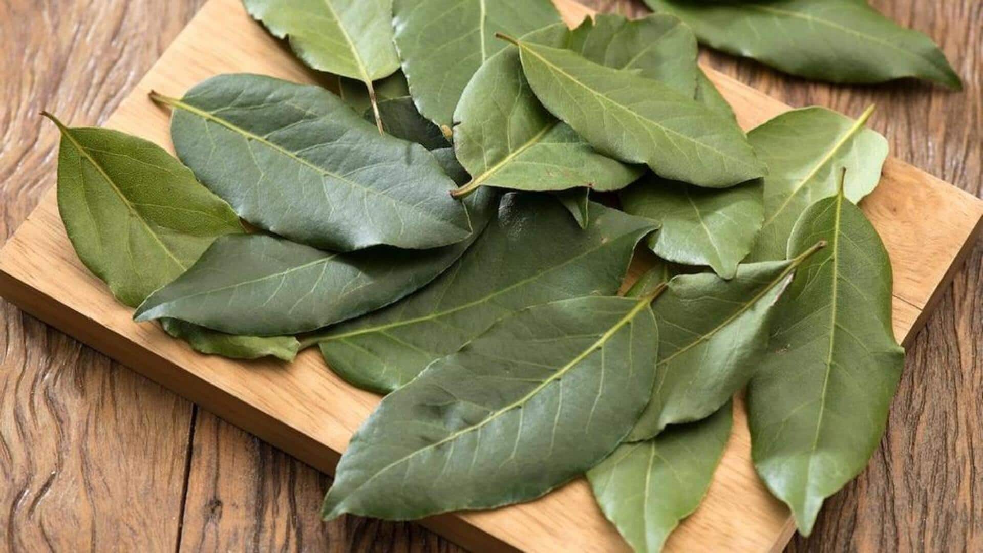 Lima Cara Kreatif Menggunakan Daun Salam dalam Masakan Indonesia