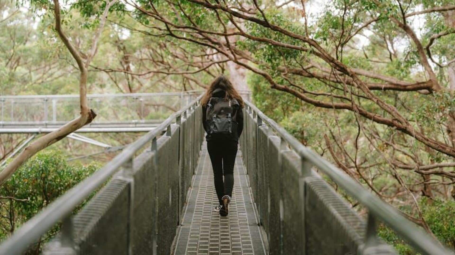 Jalan Kanopi Hutan Terbaik di Australia yang Wajib Anda Coba