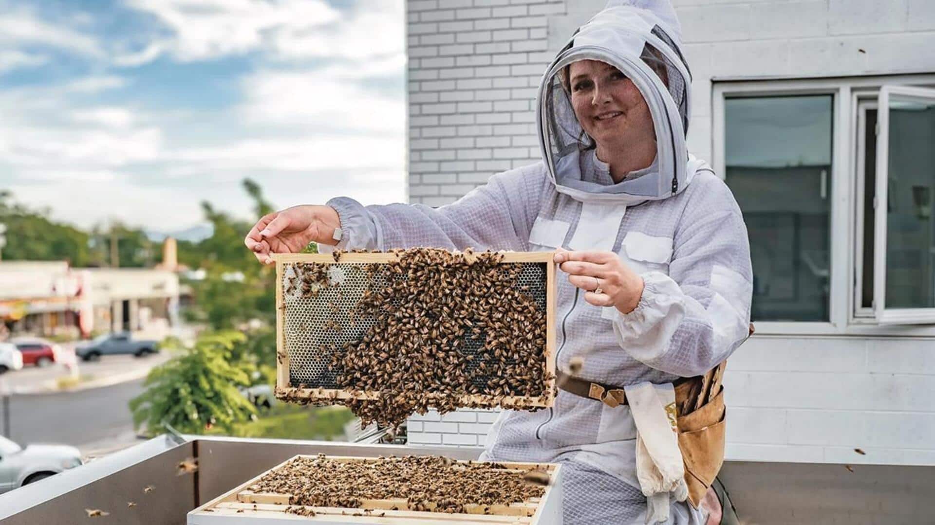 Manfaat Urban Beekeeping untuk Menjaga Keanekaragaman Hayati Manfaat Urban Beekeeping untuk Menjaga Keanekaragaman Hayati