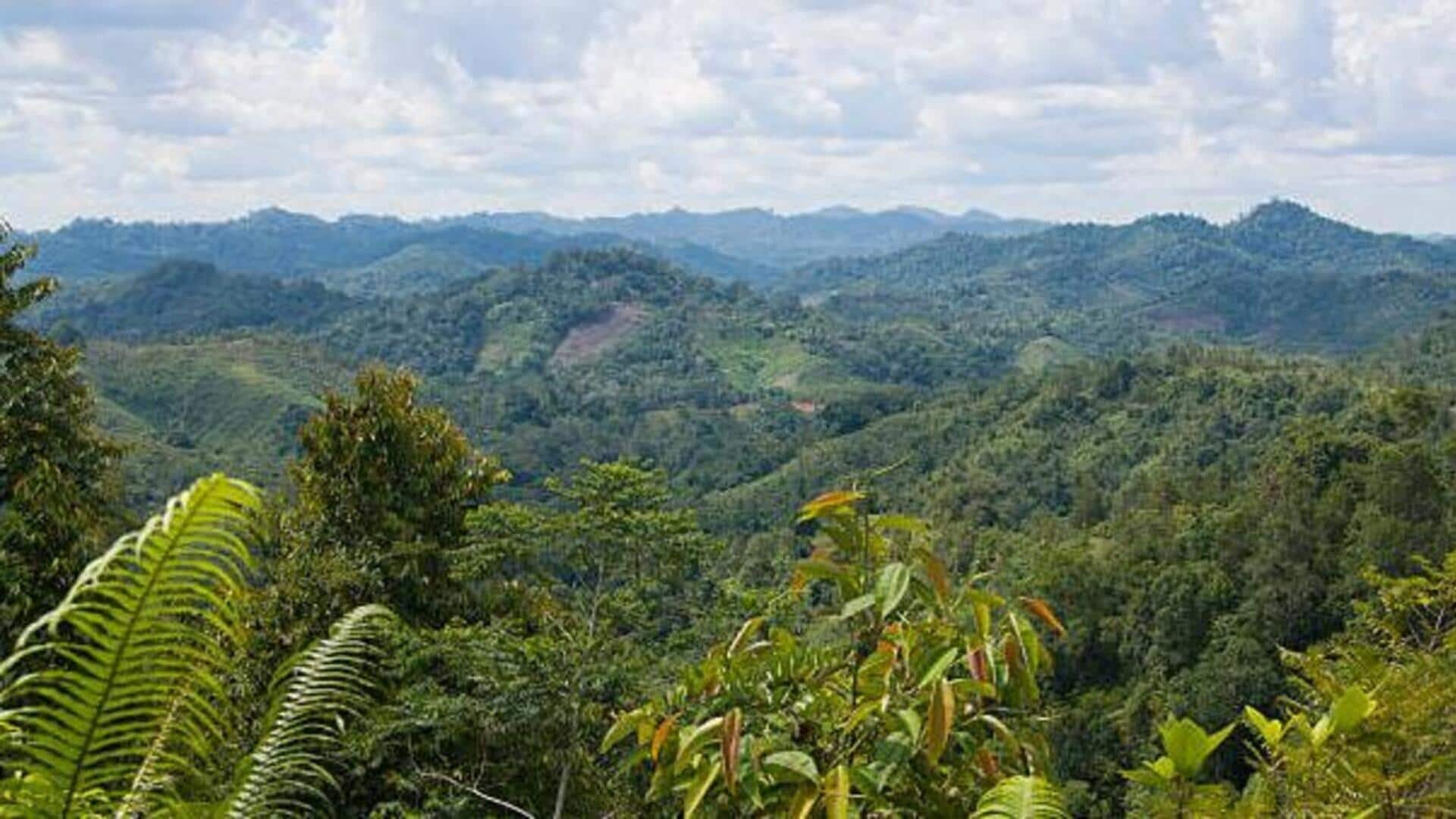 Hutan hujan Borneo: Perjalanan ke negeri hijau Malaysia