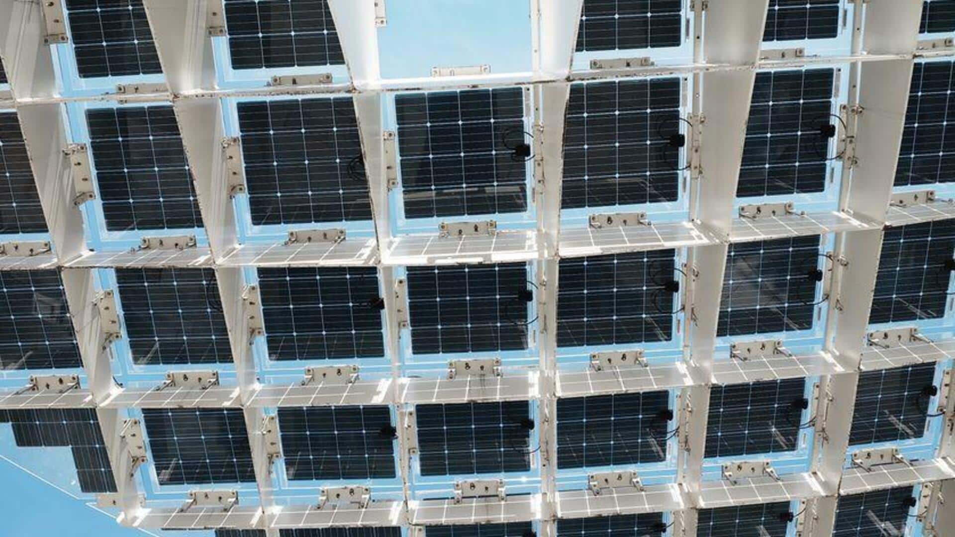 Terinspirasi dari Daun, Panel Surya Baru Tingkatkan Efisiensi Energi