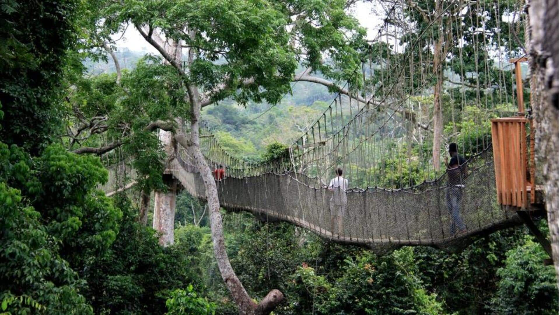 Menjelajahi Jembatan Kanopi Di Hutan Ghana