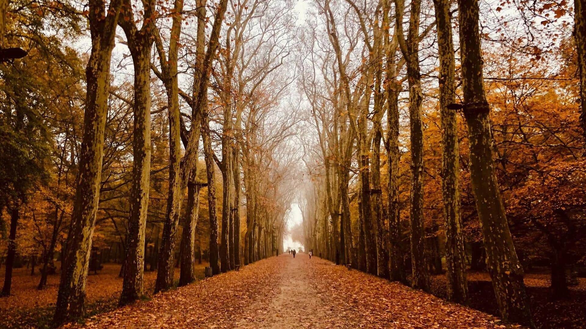 Menguasai Asas Simetri untuk Menangkap Emosi dalam Seni Fotografi