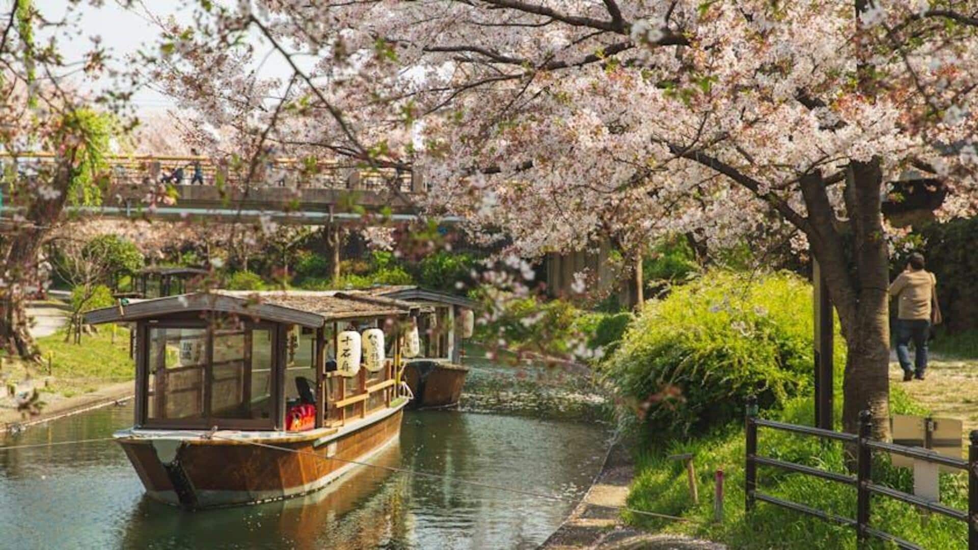 Menemukan Keindahan Sakura di Jepang selain Tokyo