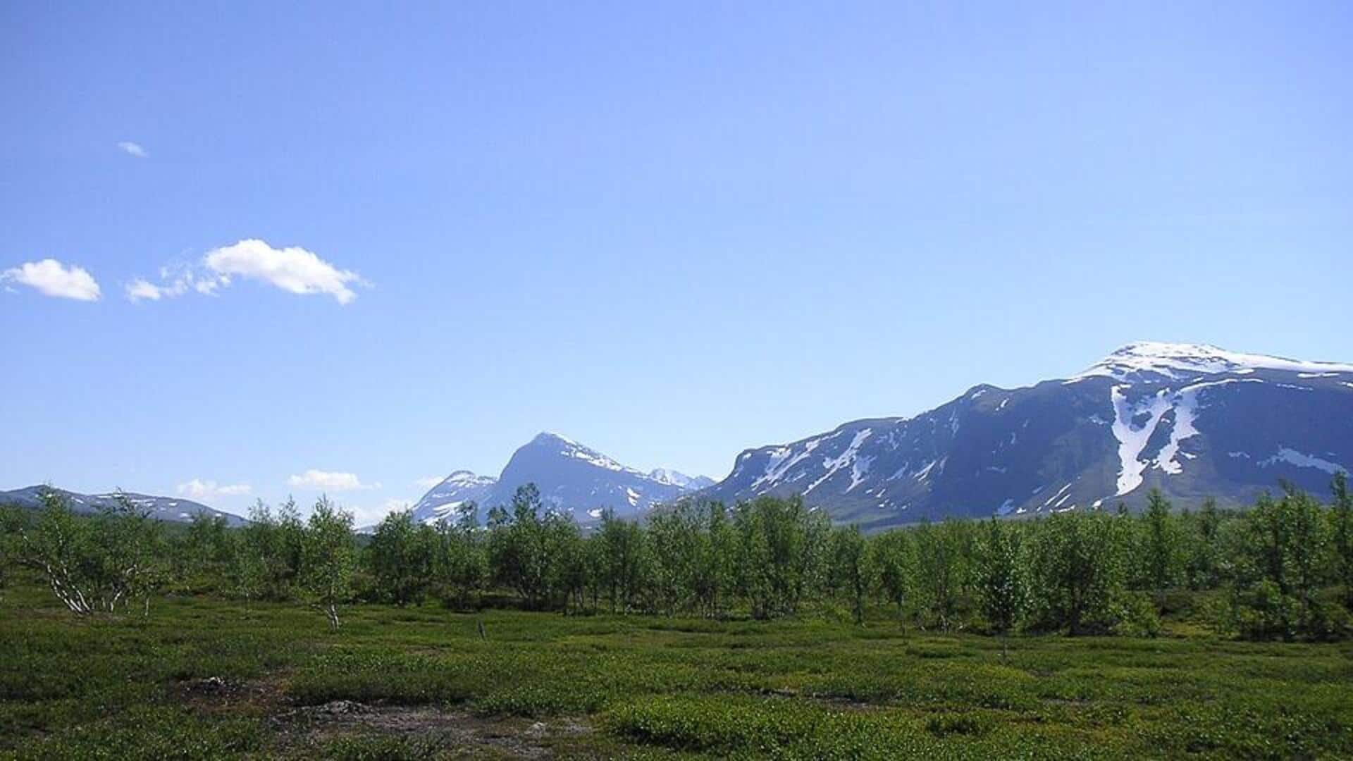 Menjelajahi Keindahan Alam Liar di Taman Nasional Lapland