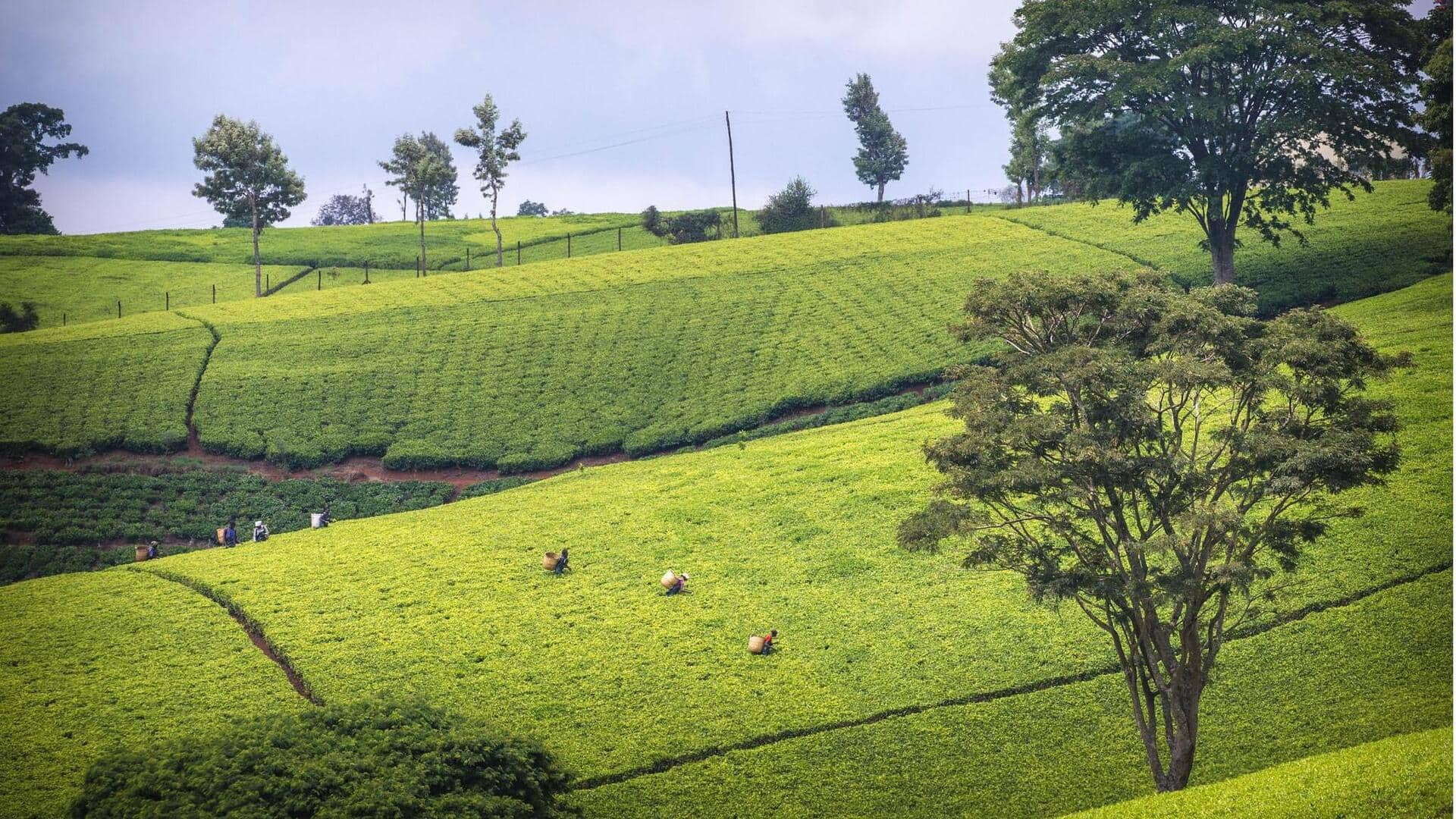 5 Kawasan Perbukitan Yang Indah Di Sekitar Nairobi