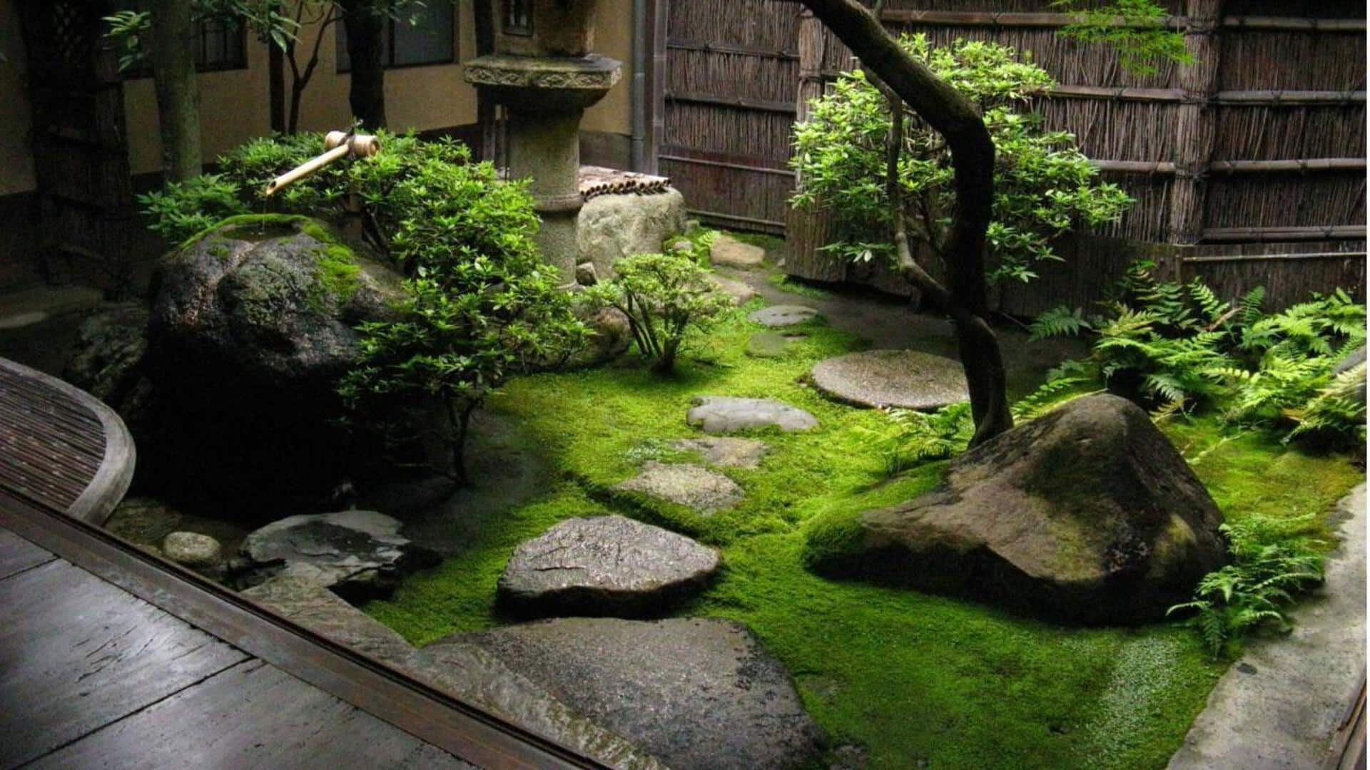 Taman Zen: Minimalisme Jepang Yang Penuh Ketenangan