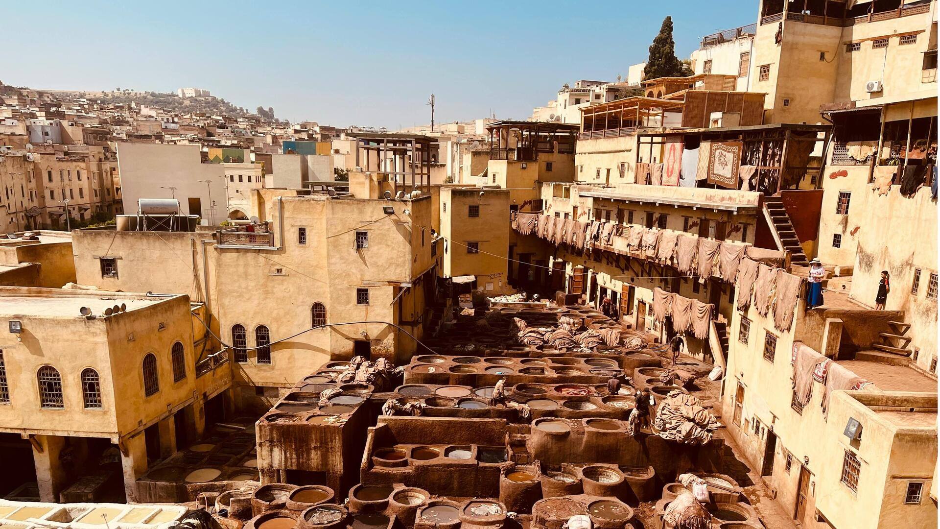 Menemukan Permata Tersembunyi di Jalan Fez yang Berliku