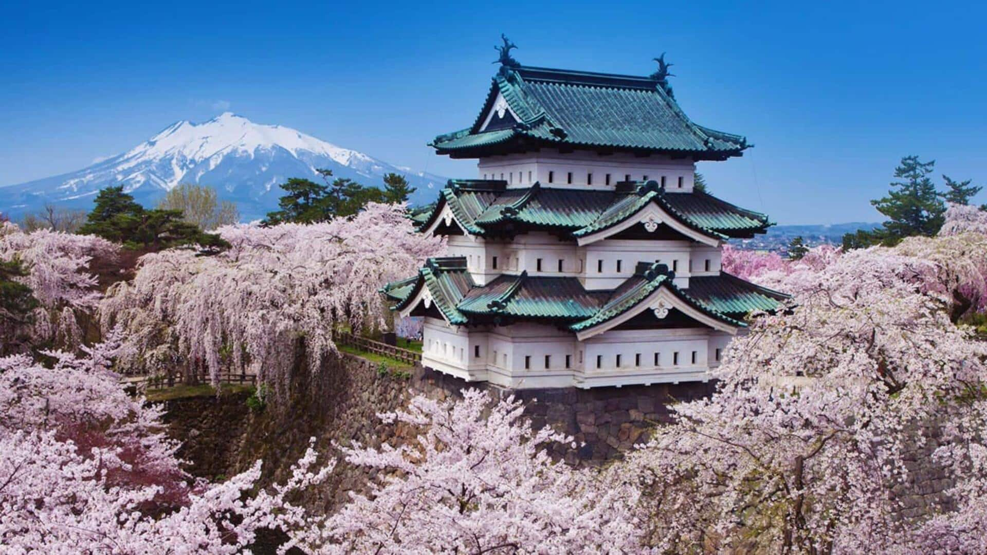 Nikmati bunga sakura di Hirosaki, Jepang