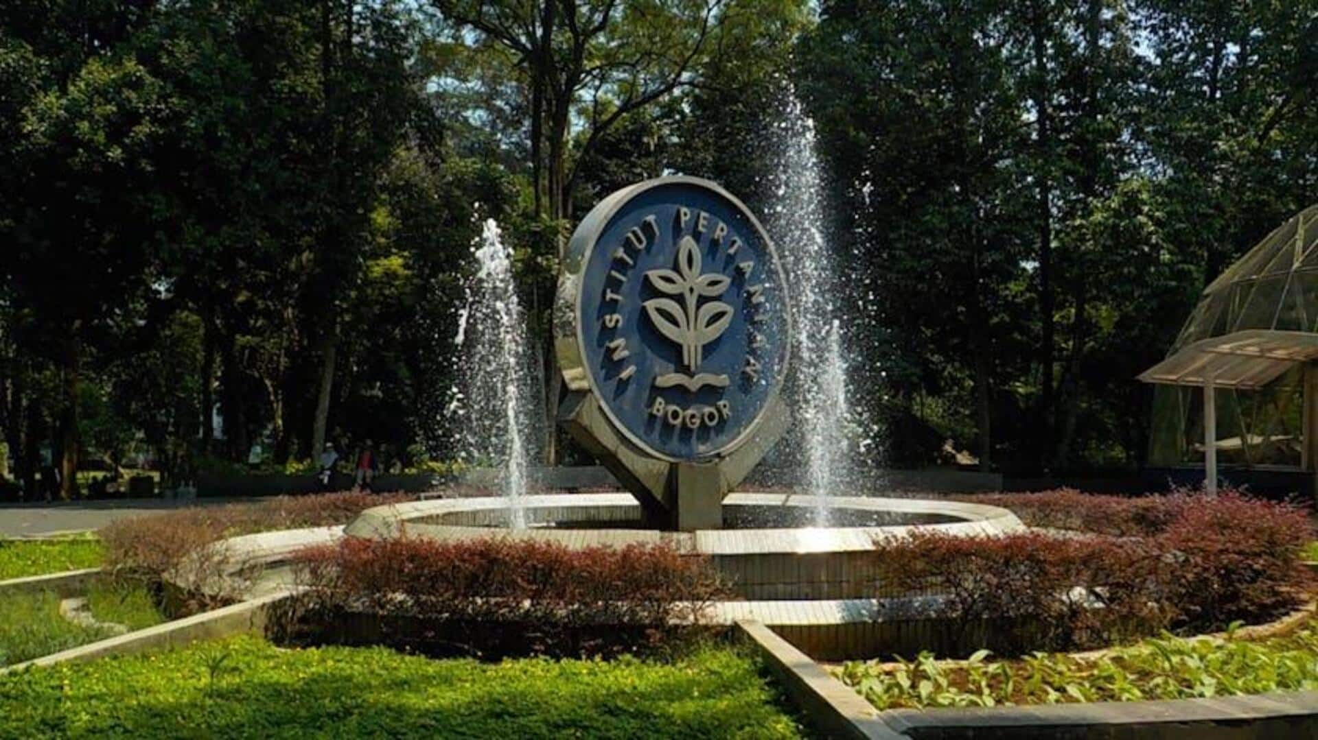 Lima Universitas Indonesia Memimpin Penelitian Energi Terbarukan Global