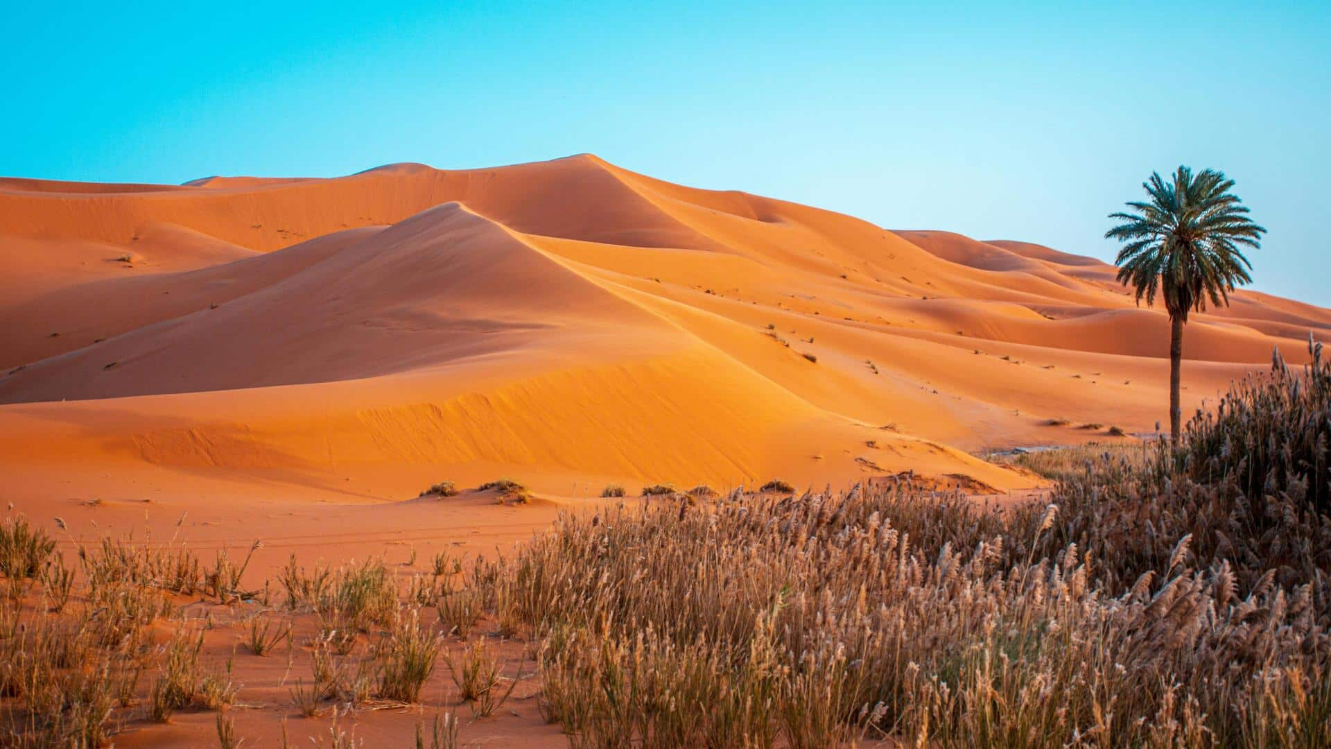 Menjelajahi Keajaiban Gurun Sahara, Aljazair