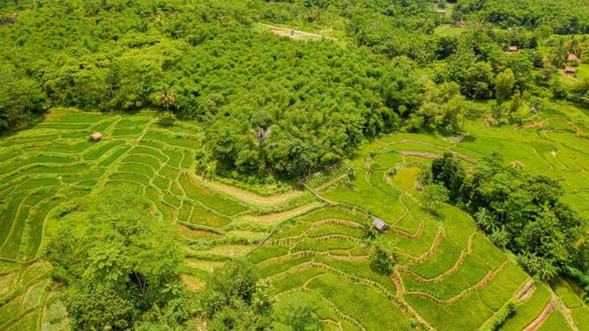 Kemajuan Teknologi Lingkungan di Indonesia