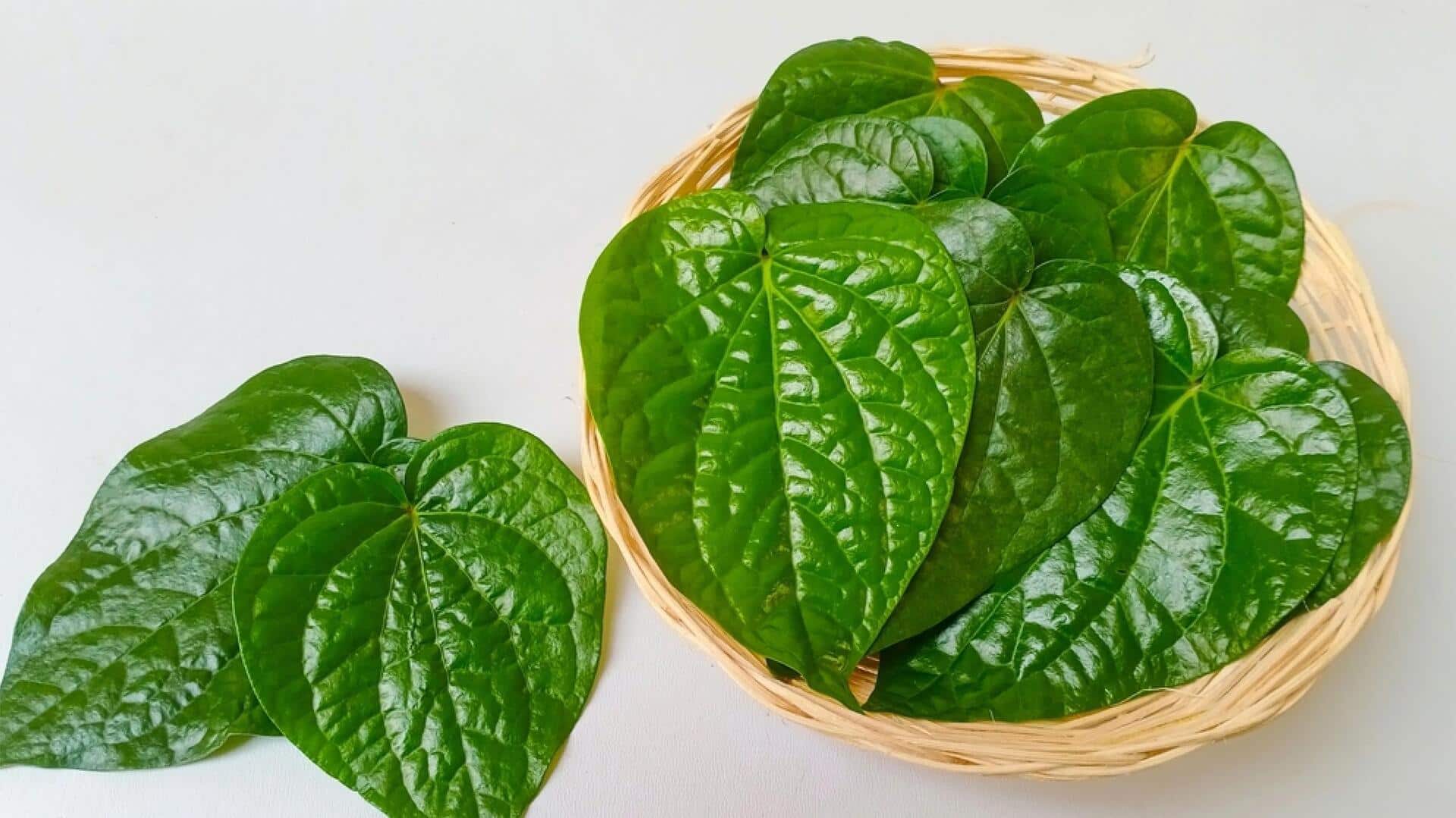Sentuhan Daun Sirih dalam Hidangan Vegetarian Modern