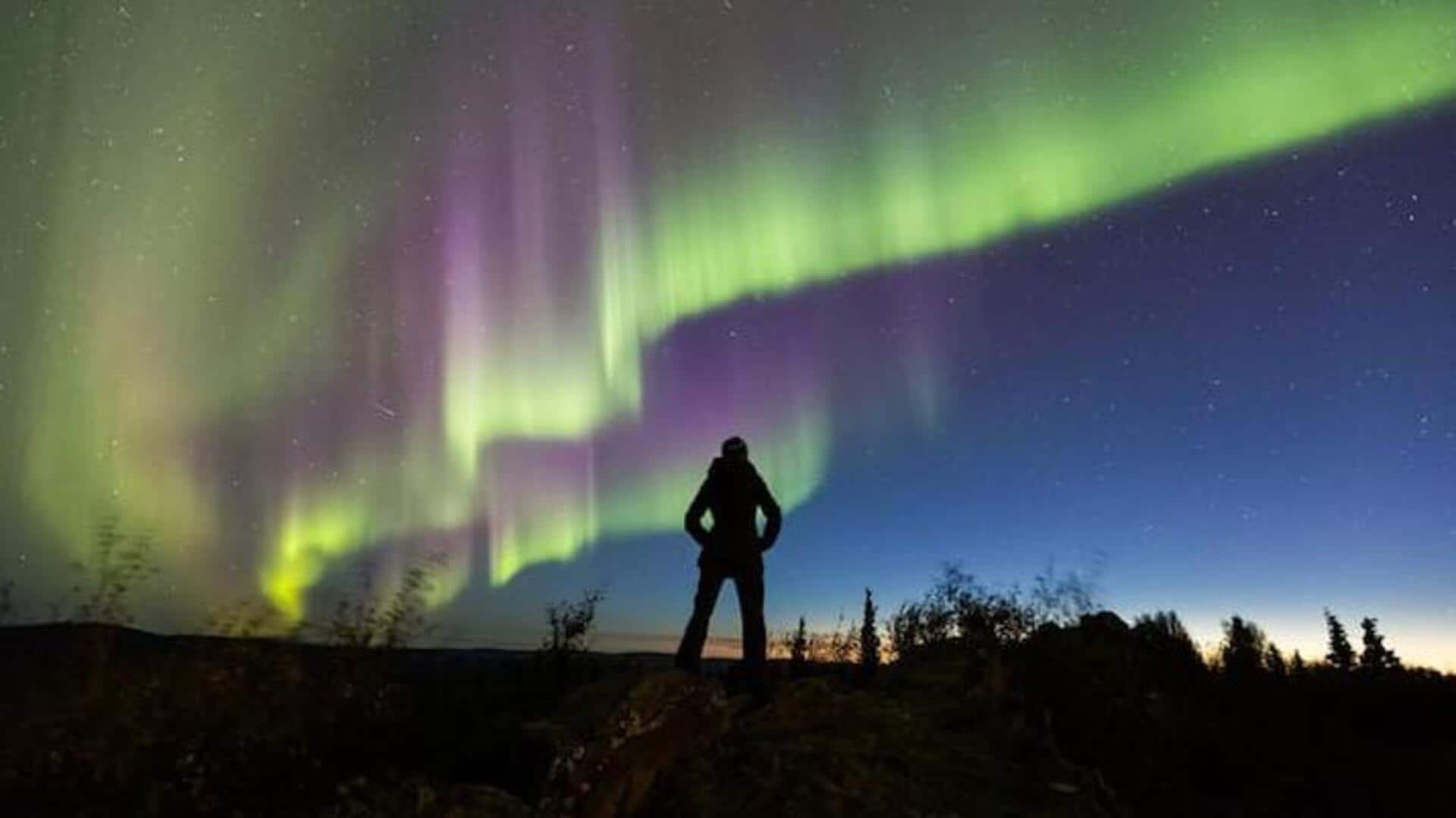 Panduan Dalam Menjelajahi Hutan Belantara Aurora Terbaik Di Anchorage, Alaska