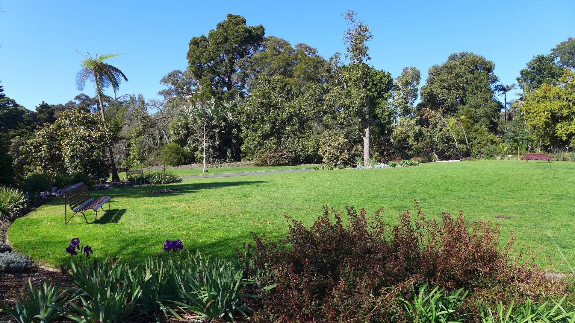 Menjelajahi Kebun Raya Melbourne Sepanjang Musim