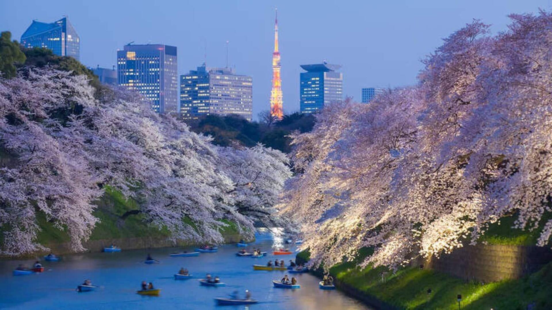 Bunga sakura di Tokyo: Pemandangan musiman