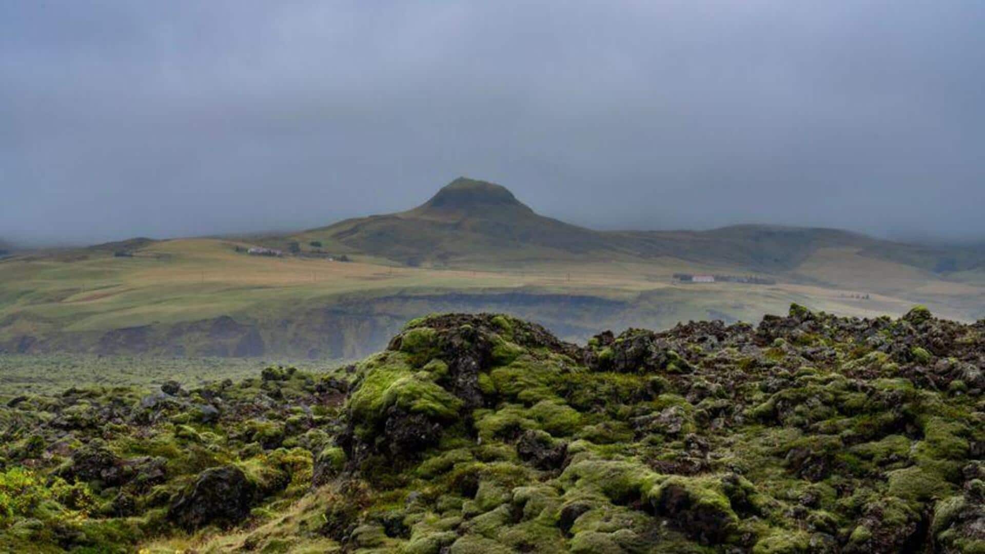 Menjelajahi Keindahan Ladang Lava Islandia