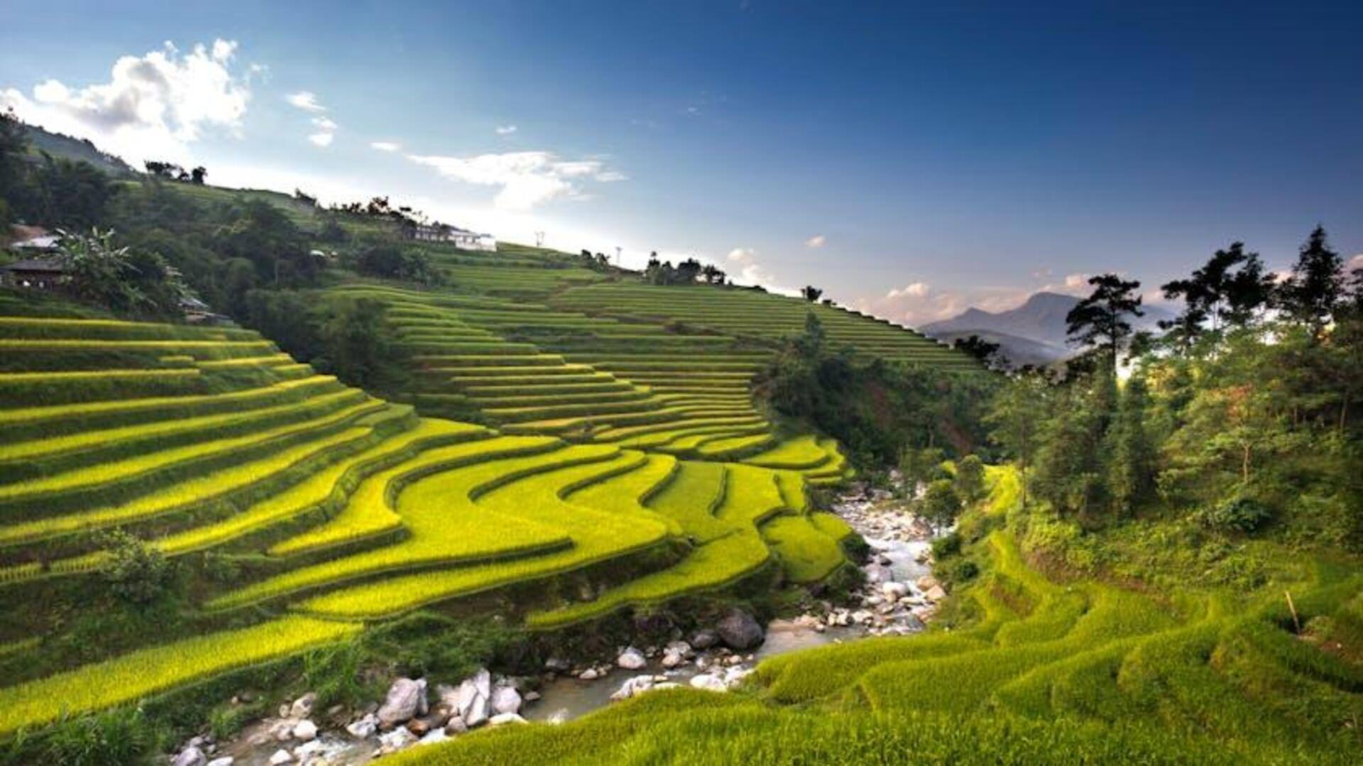 Manfaat Tersembunyi Komputasi Awan dalam Pertanian