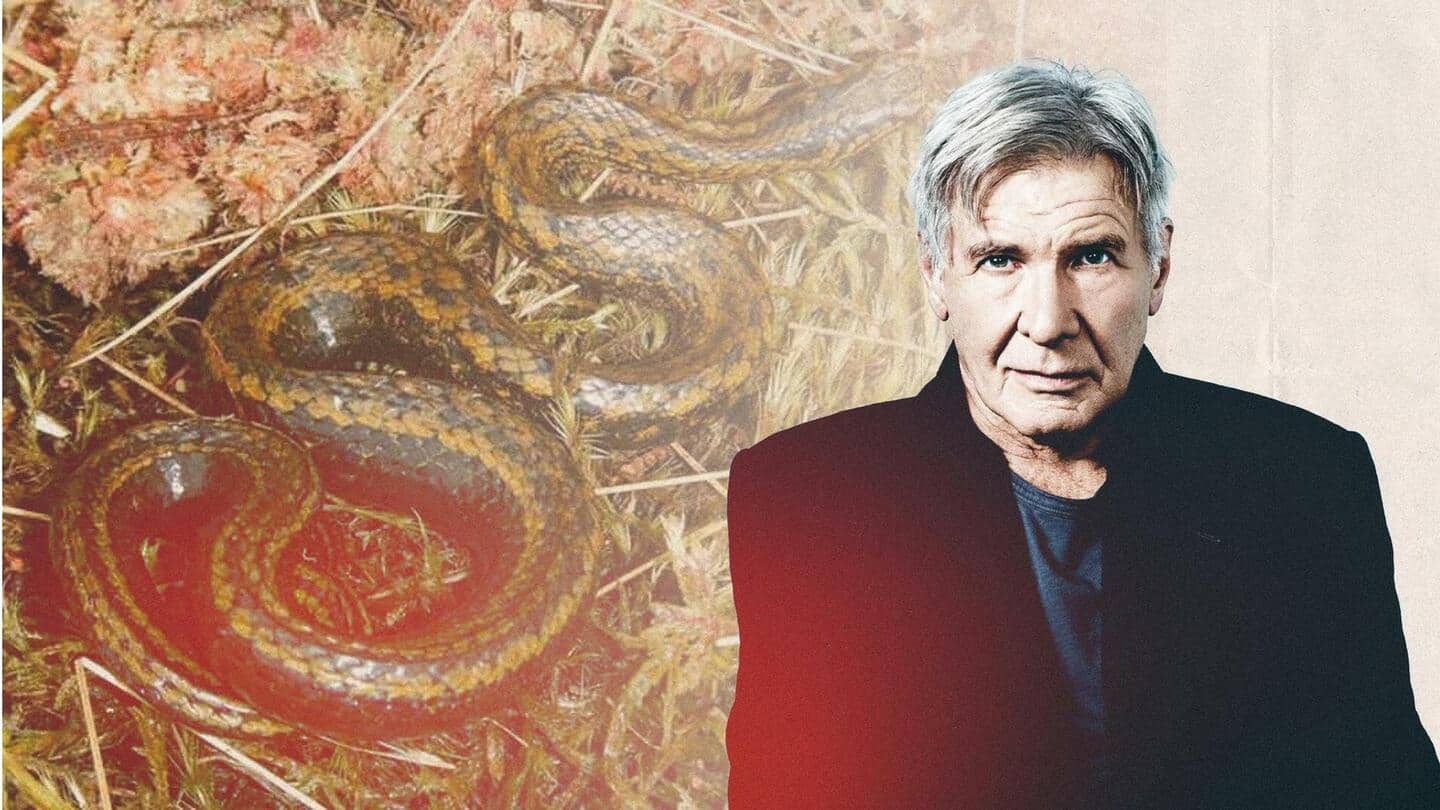 Spesies ular baru yang dinamai berdasarkan nama aktor Hollywood Harrison Ford