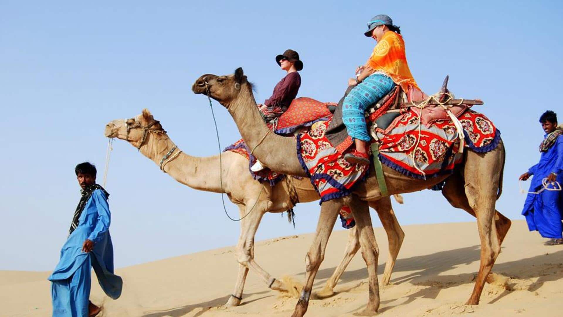 Fakta menarik tentang unta di Gurun Rajasthan