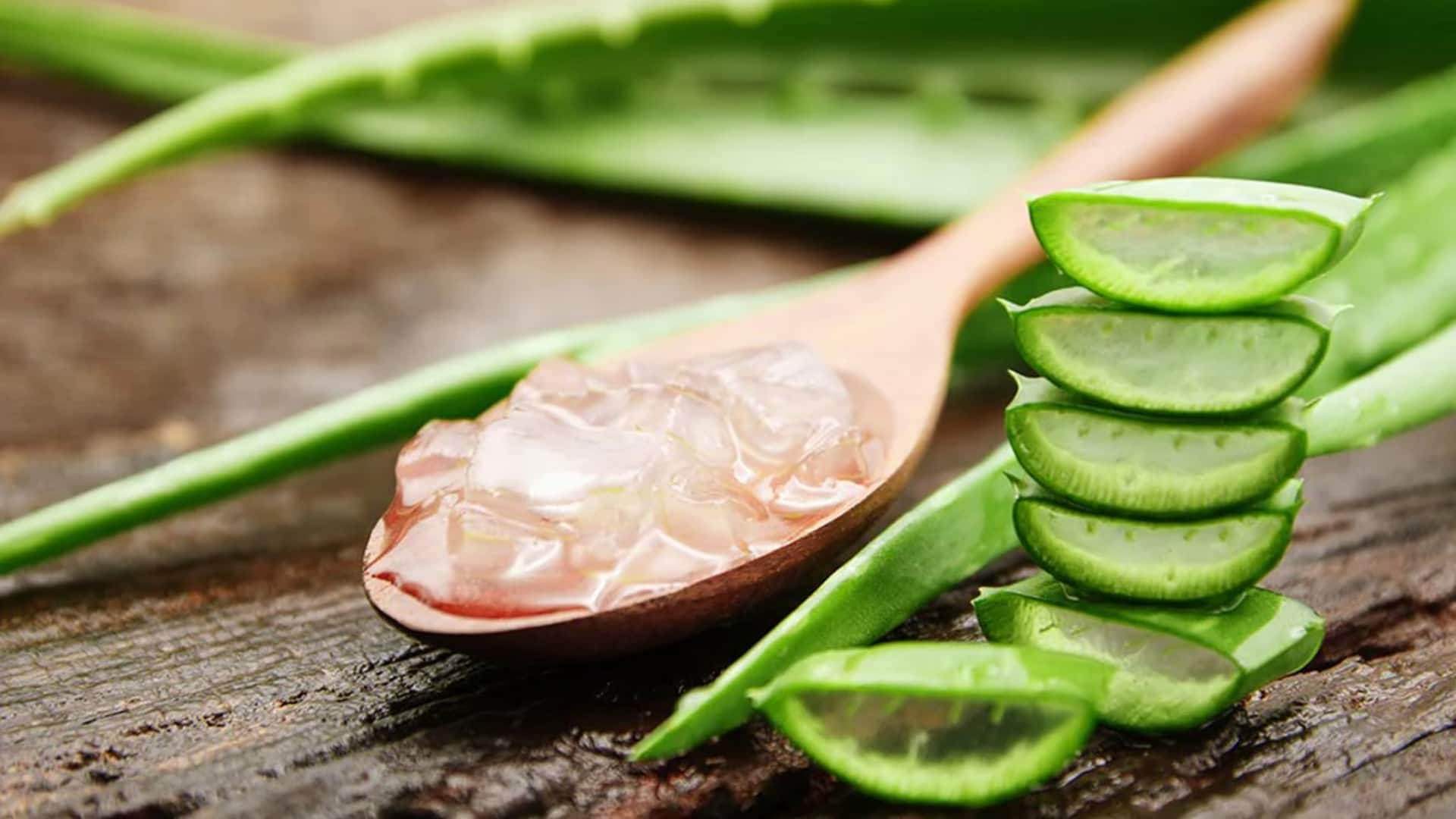 Beragam Kandungan Nutrisi Dalam Aloe Vera