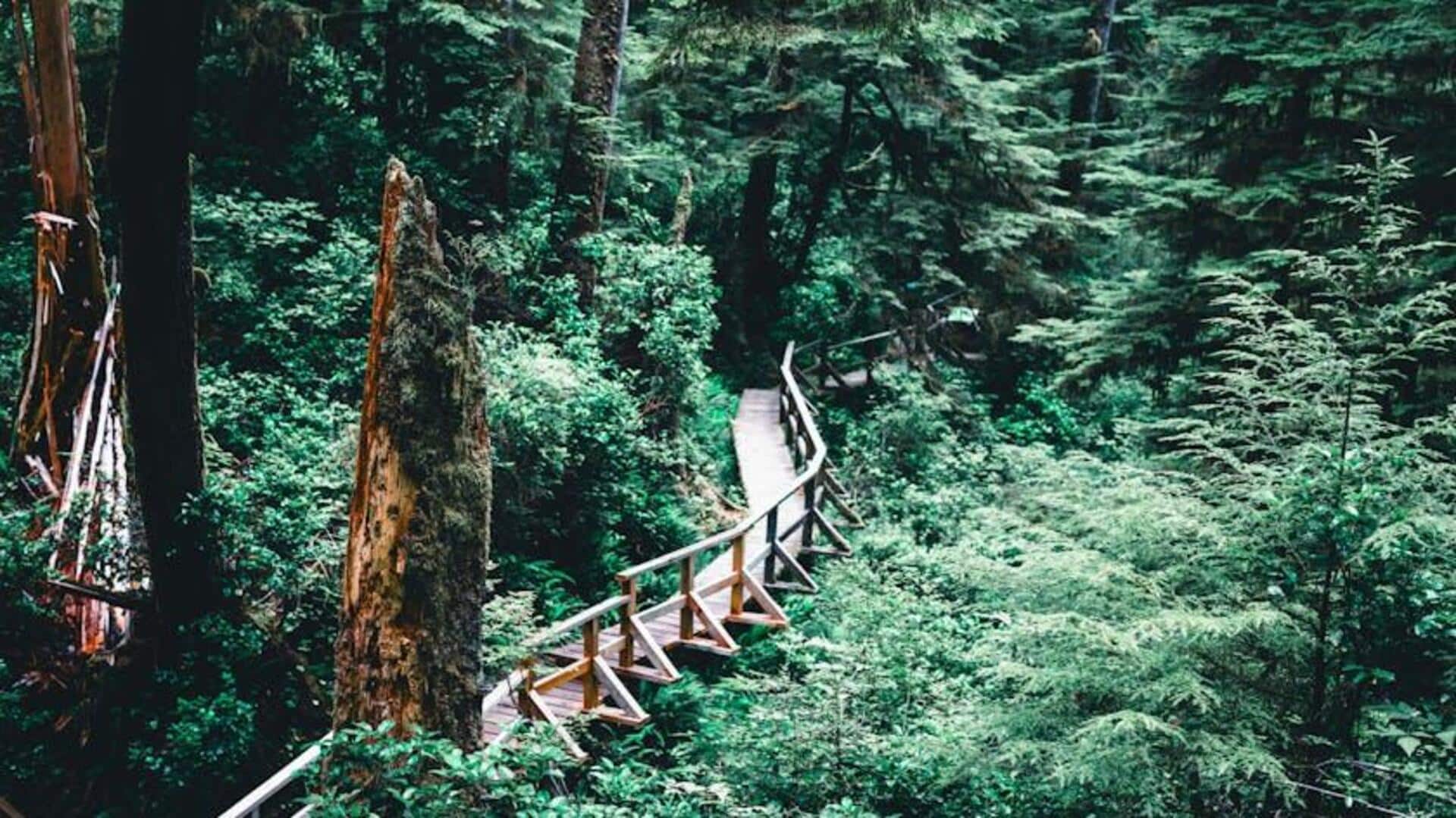 Keajaiban Alam di Garis Pantai Pasifik Kanada yang Wajib Dikunjungi
