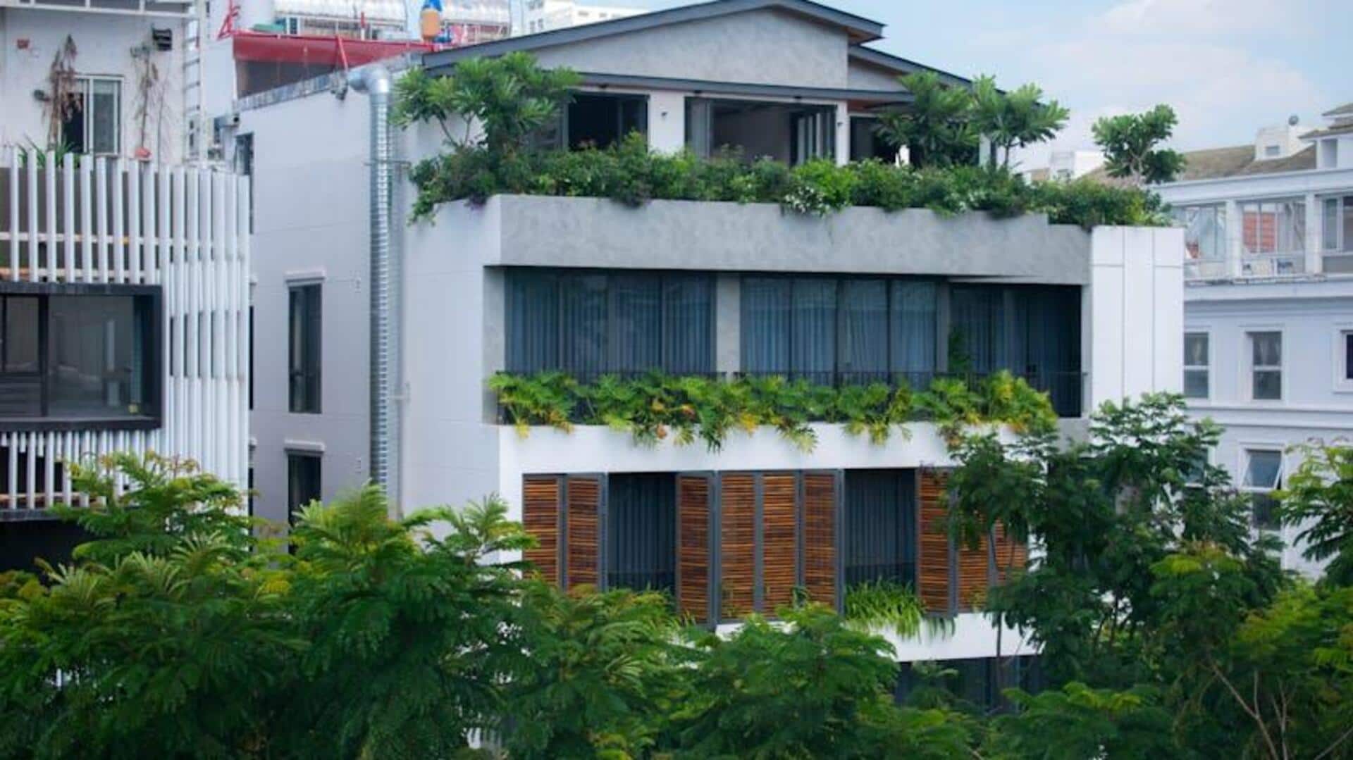 Mengapa Atap Hijau Menarik Perhatian Teknologi Urban