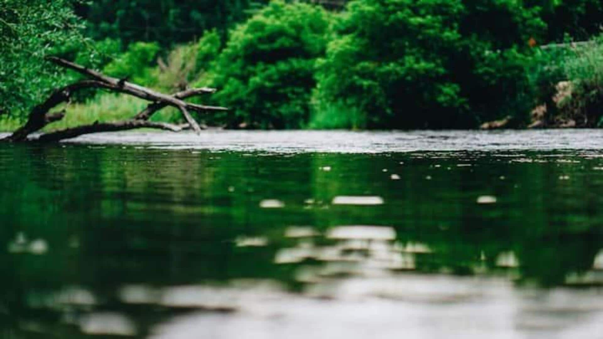 Panduan Dalam Menikmati Ketenangan Tepi Danau Berlin