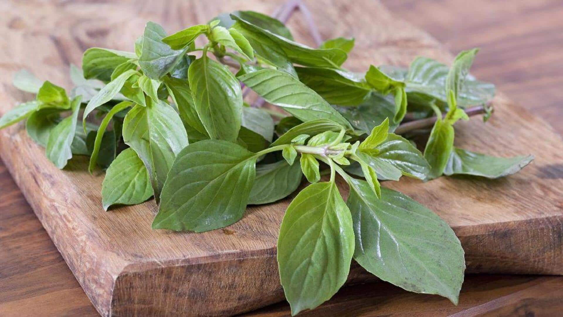 Rempah-Rempah Nabati Indonesia yang Membuat Hidangan menjadi Lebih Lezat Rempah-Rempah Nabati Indonesia yang Membuat Hidangan menjadi Lebih Lezat