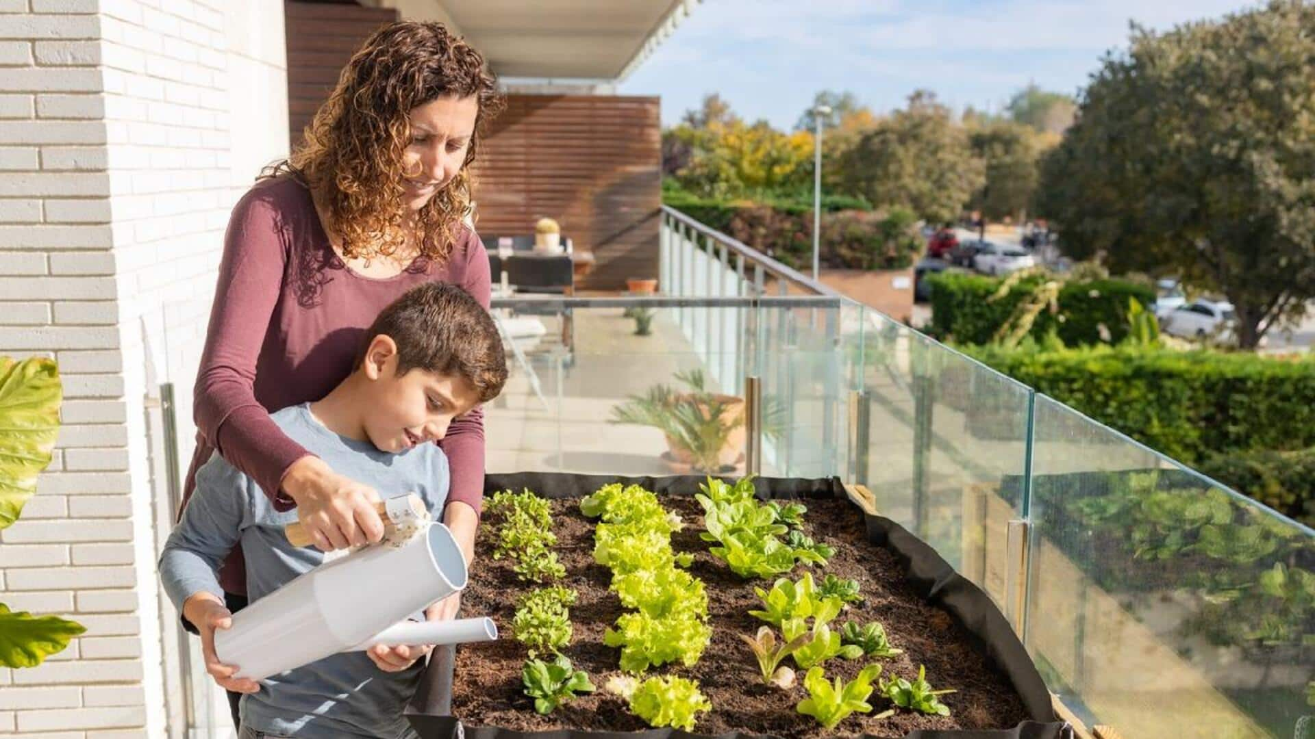 Tips Hemat Untuk Berkebun Di Daerah Perkotaan