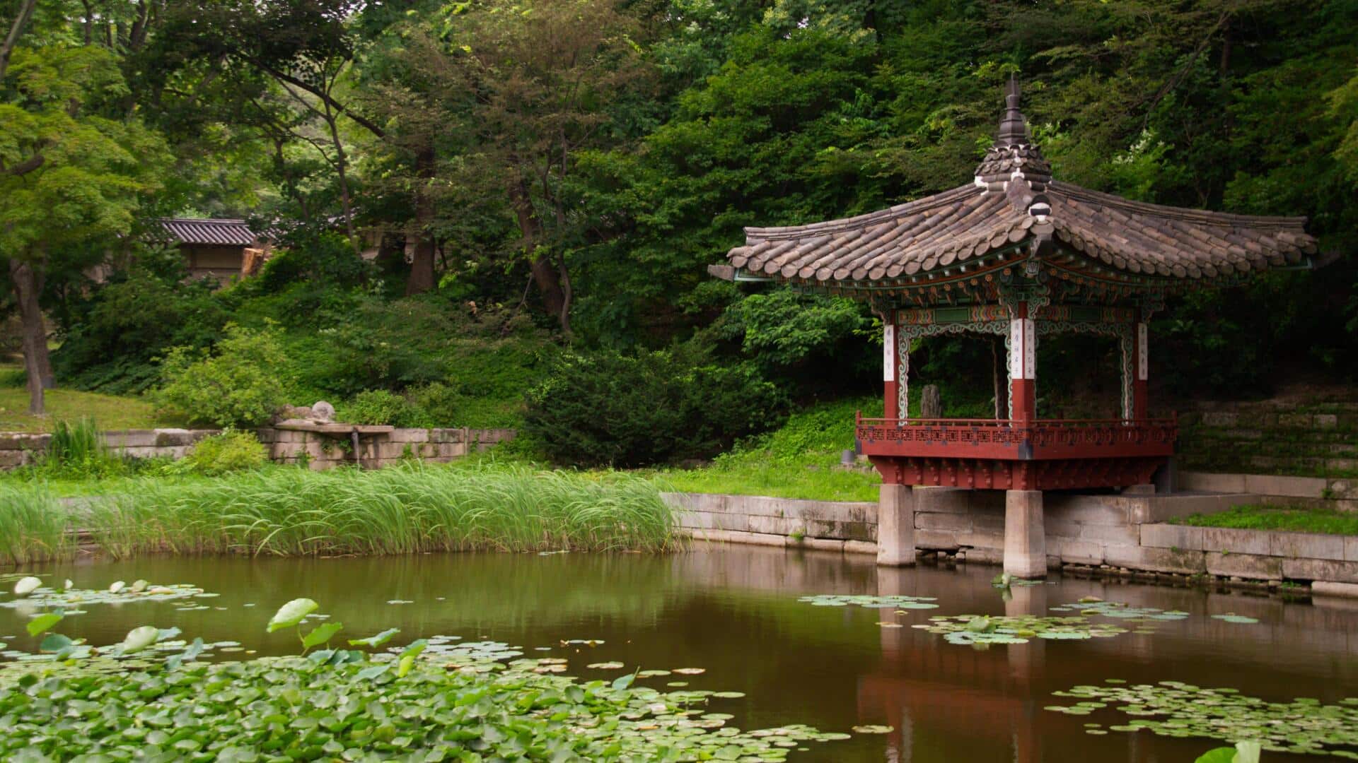 Menemukan Taman Zen di Seoul untuk Relaksasi Maksimal