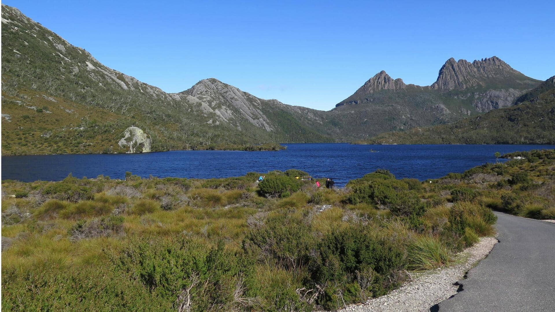 Menjelajahi Satwa Liar Tersembunyi di Tasmania