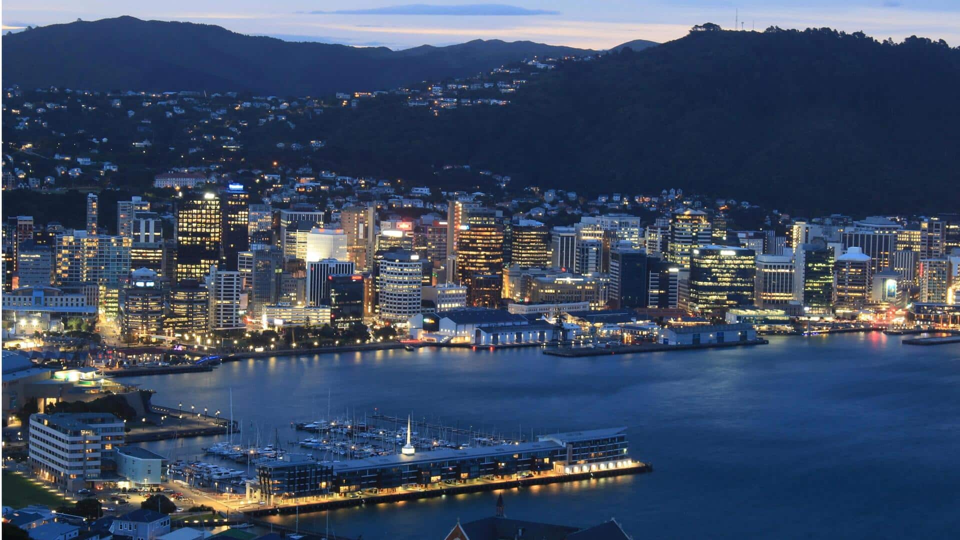 Menemukan Mural Seni Pribumi di Wellington