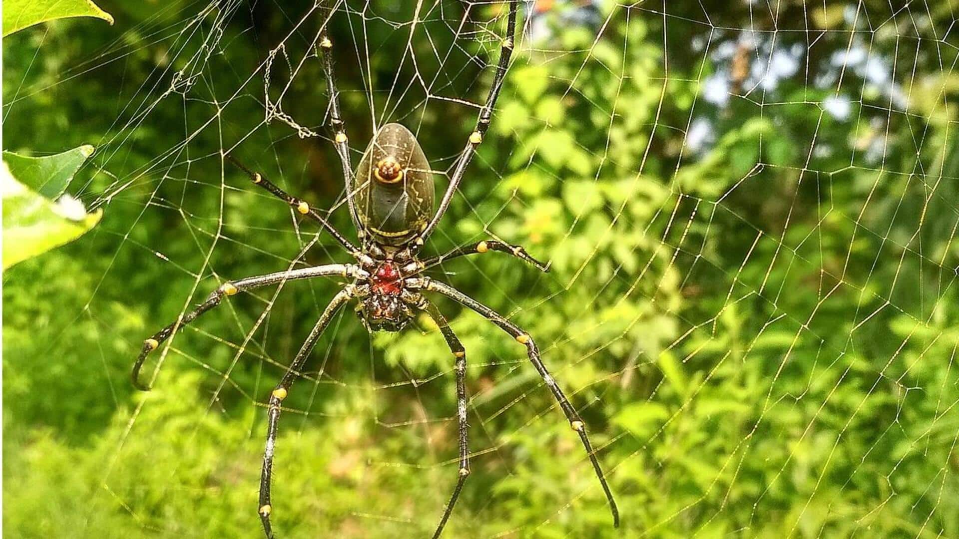 Keunikan Fauna Indonesia dalam Inovasi Teknologi Global